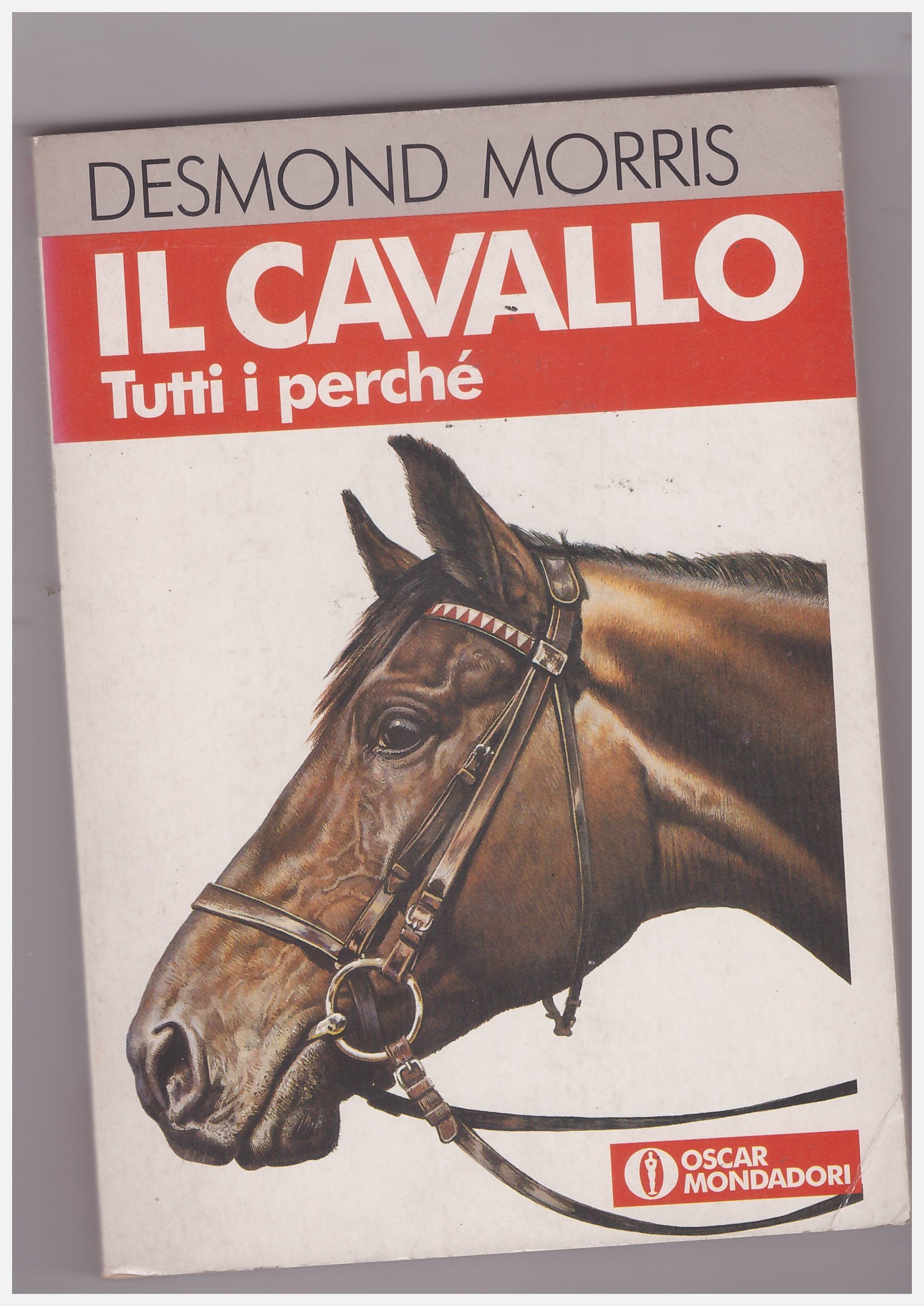 Il cavallo. Tutti i perché (Oscar manuali) Pets