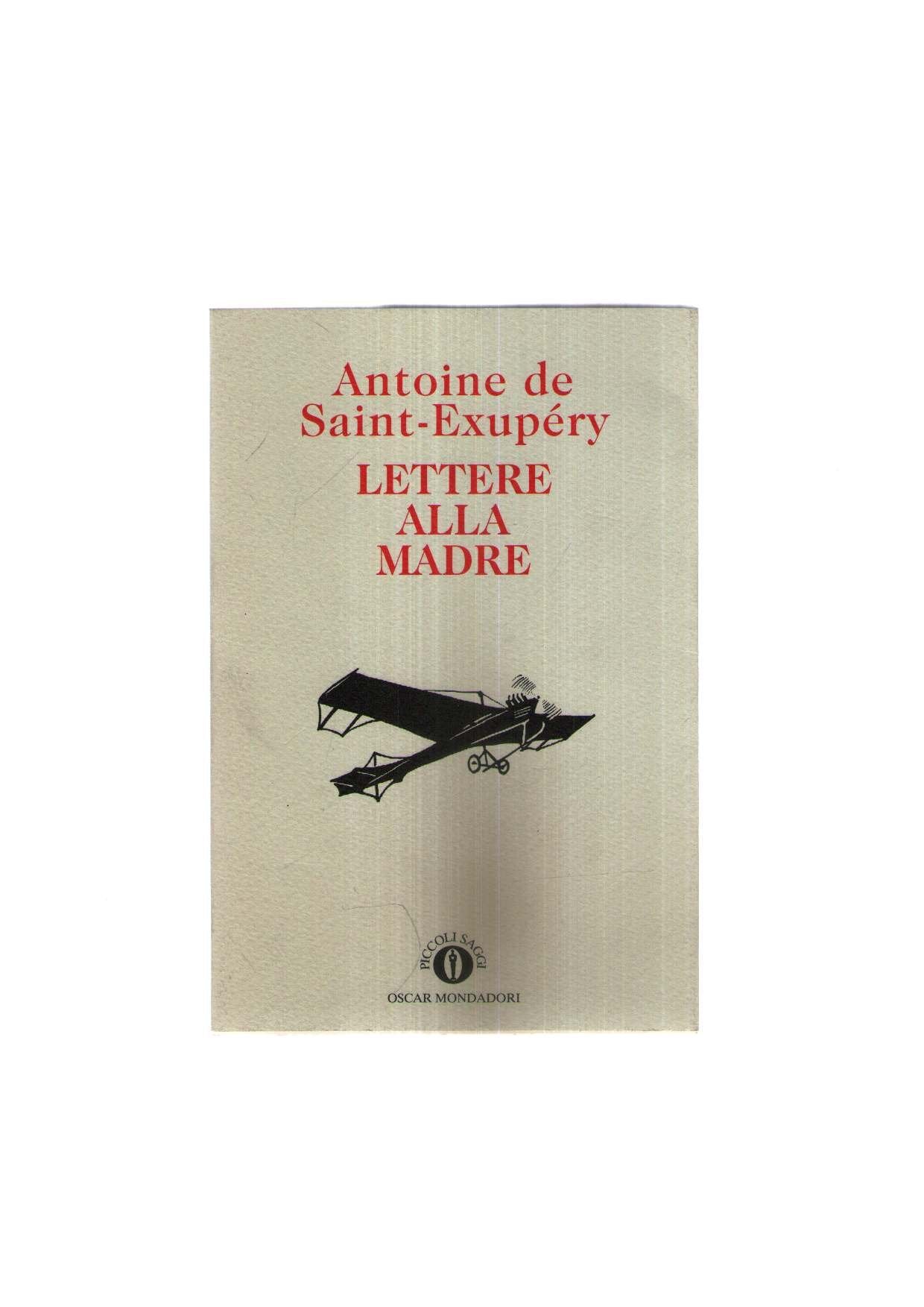 Lettere alla madre book