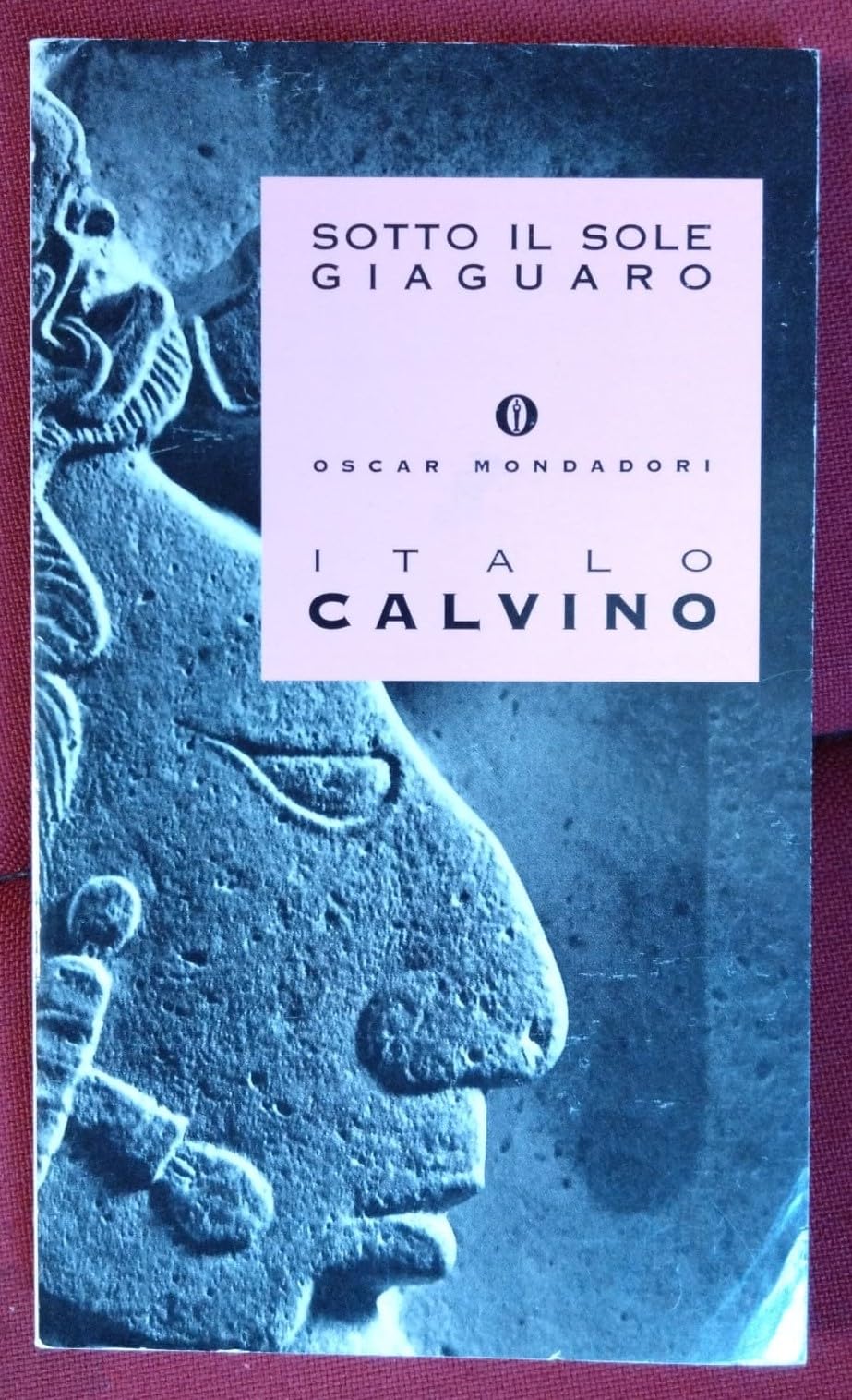 Sotto Il Sole Giaguaro book