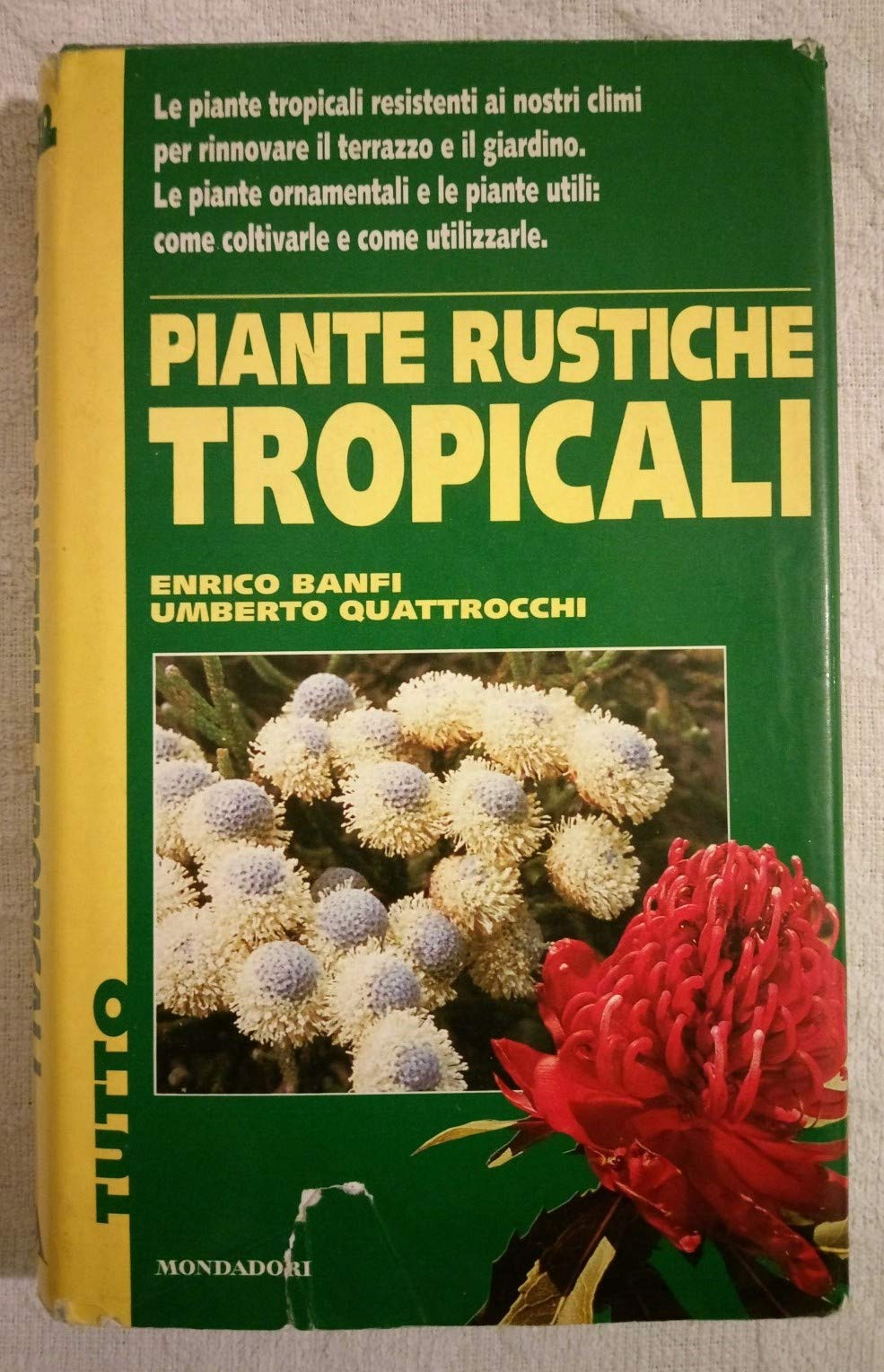 Piante tropicali rustiche (Illustrati. Tutto, Band 45) Garden & Plants