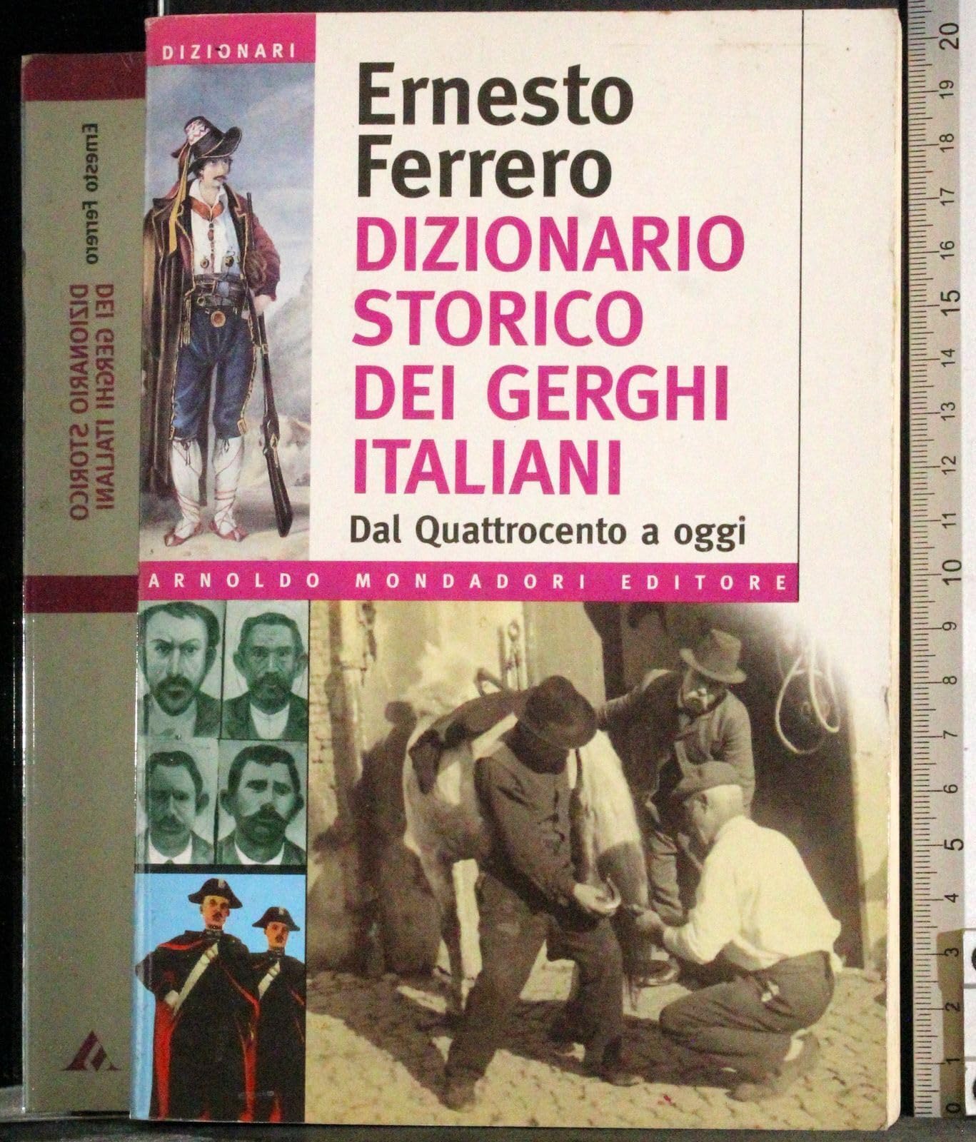 Dizionario storico dei gerghi italiani. Dal Quattrocento a oggi book