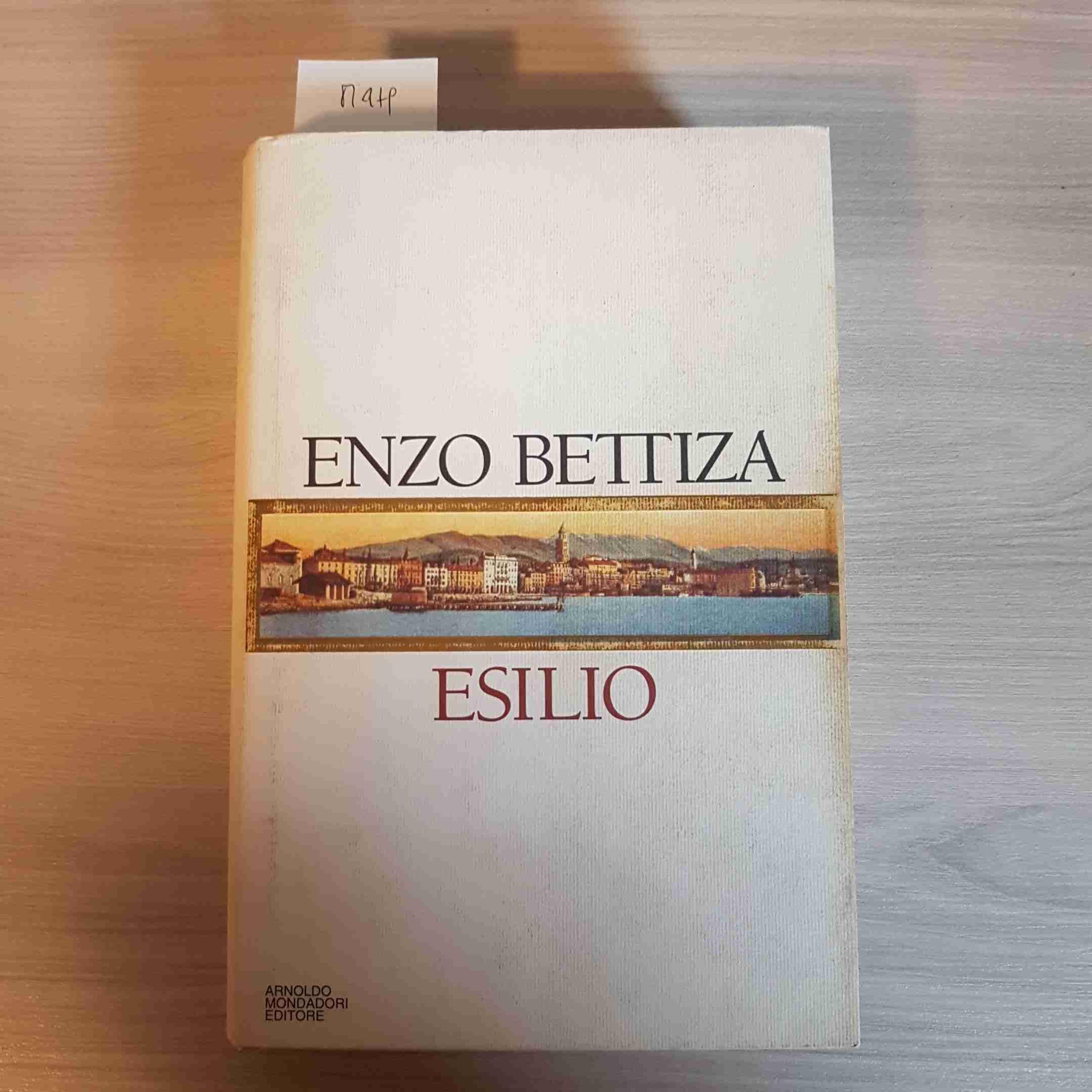 Esilio. Confessioni illiriche tra Dalmazia e Bosnia book