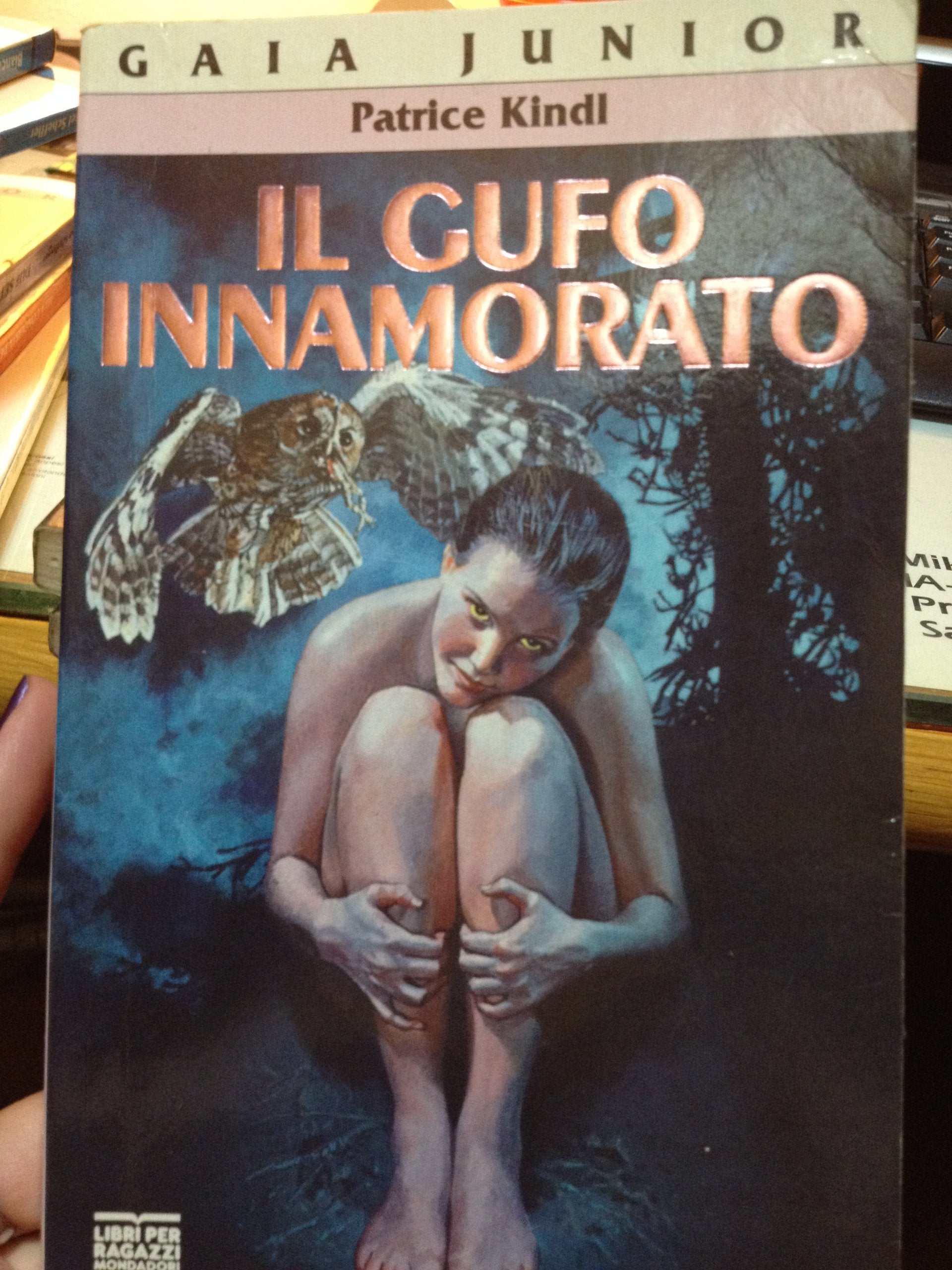 Product Image: Il gufo innamorato