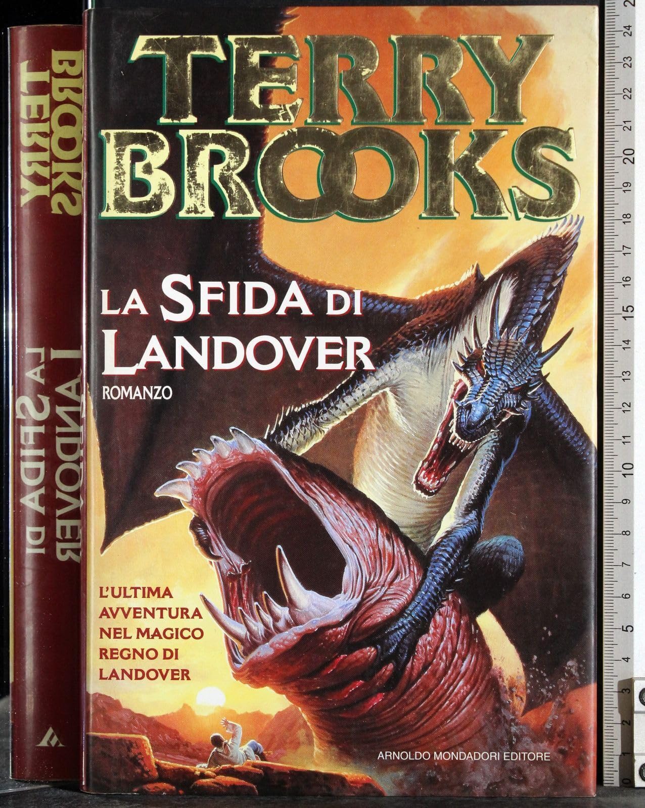 La sfida di Landover (Super blues fantasy) Contemporary literature