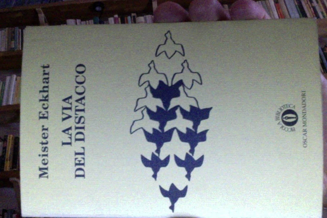 La via del distacco (Piccola biblioteca oscar, Band 81) Philosophy