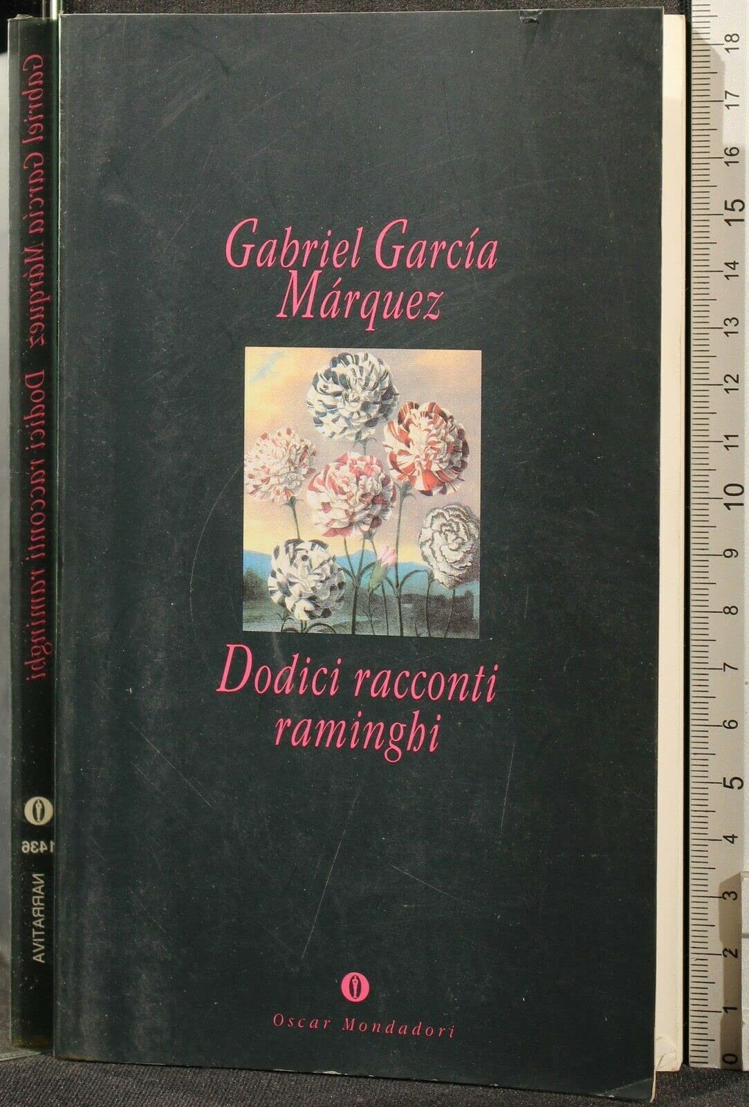 Dodici racconti raminghi (Oscar narrativa, Band 1436) Essays & Short Stories
