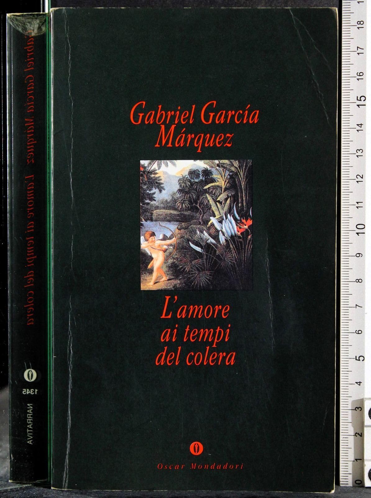 L' Amore AI Tempi Del Colera book