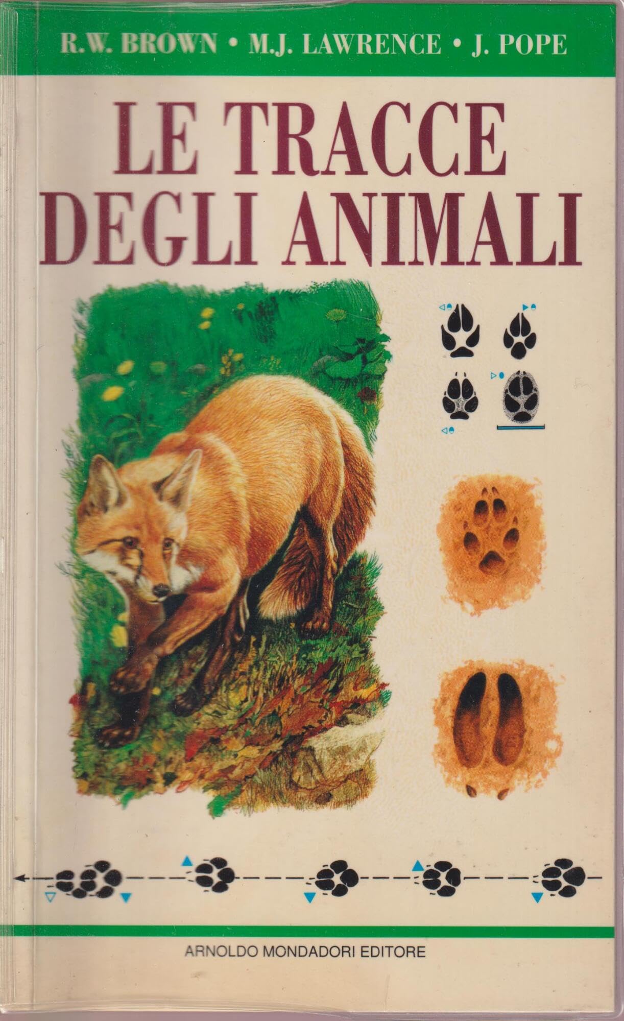 Le tracce degli animali (Illustrati. Natura e giardinaggio) Leisure, Home & Garden