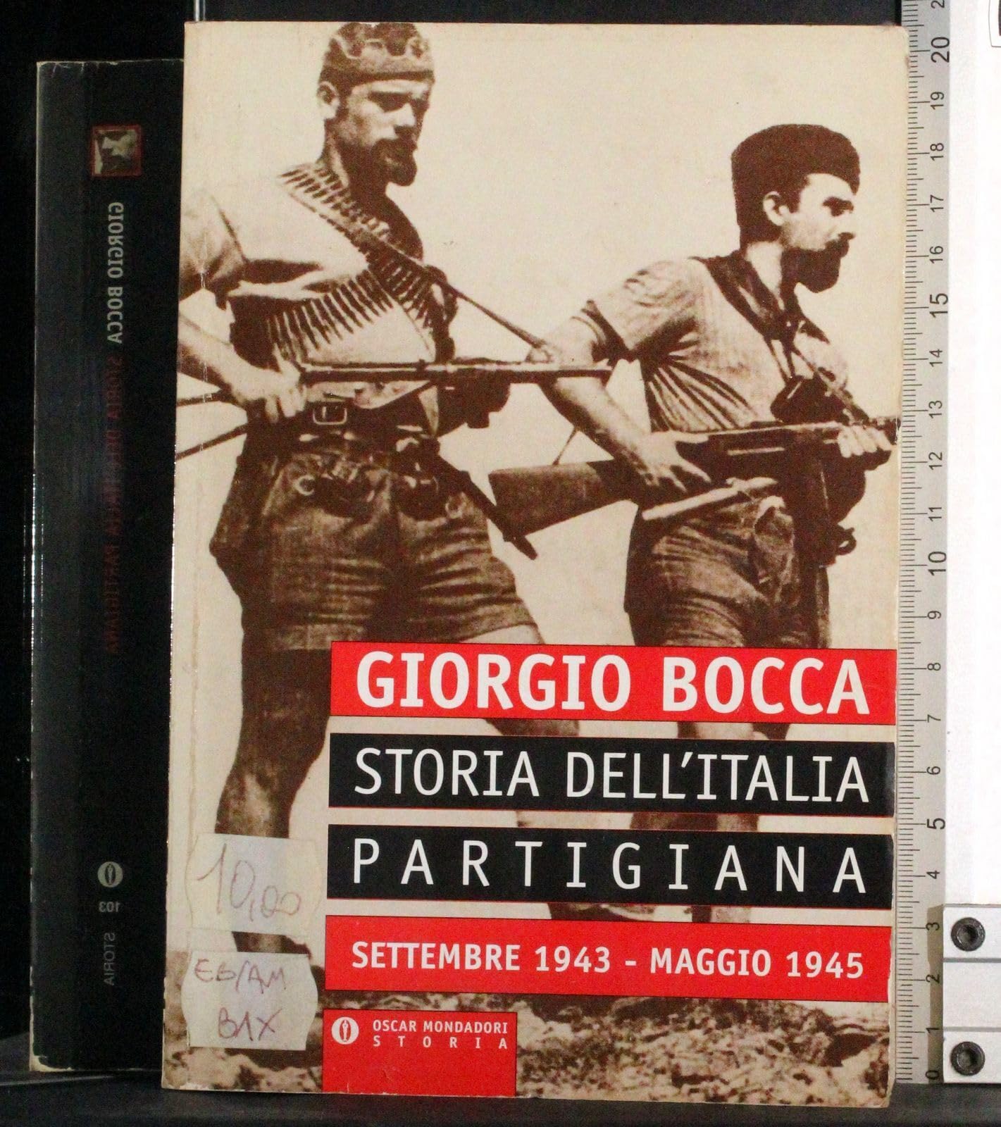 Storia dell'Italia partigiana book