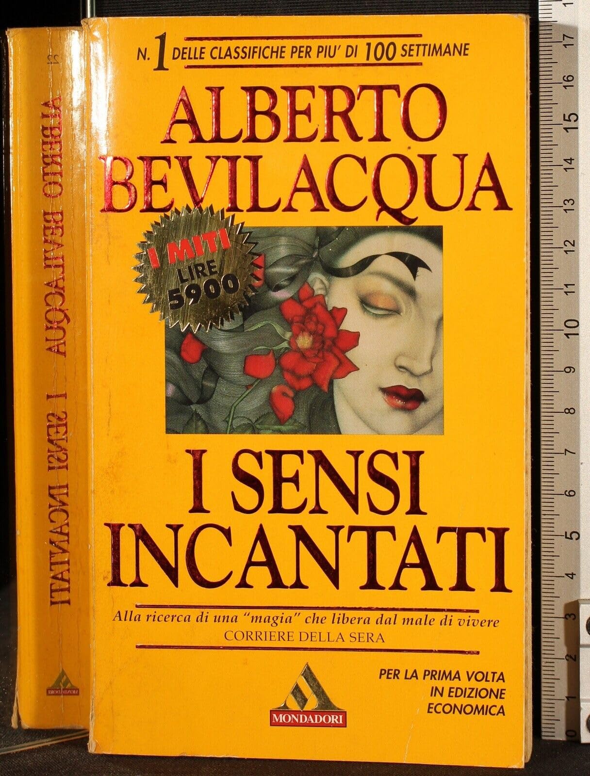 I sensi incantati book