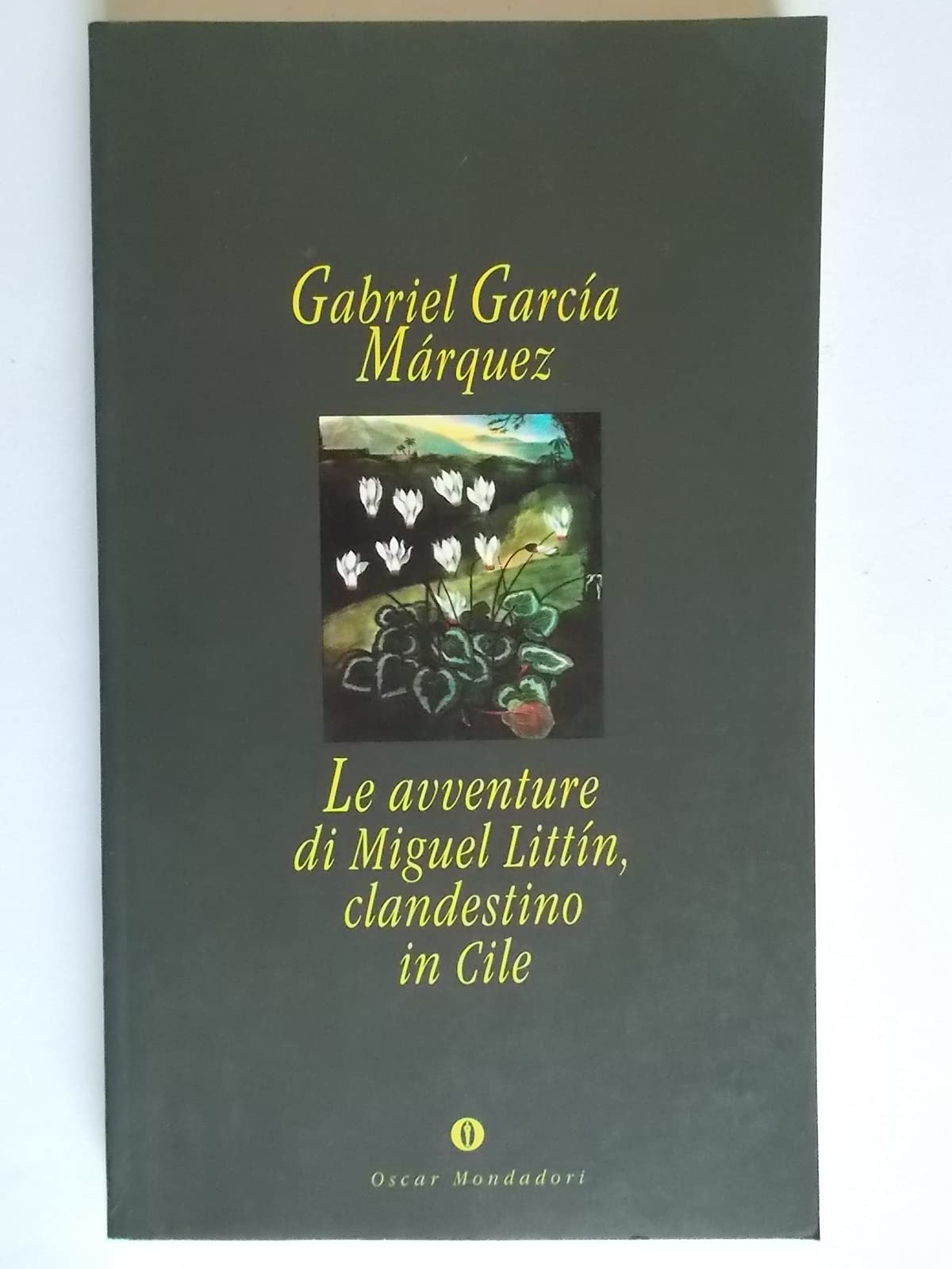 Le avventure di Miguel Littín, clandestino in Cile book