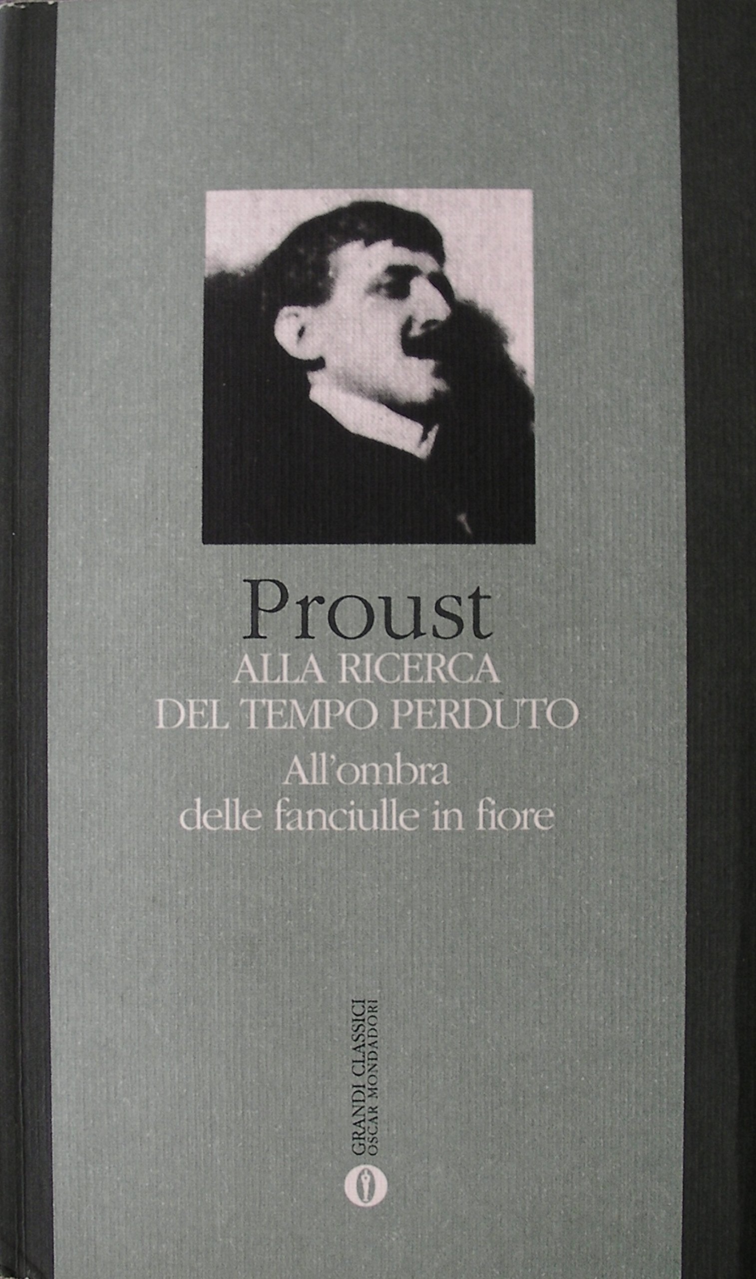 All'ombra delle fanciulle in fiore book