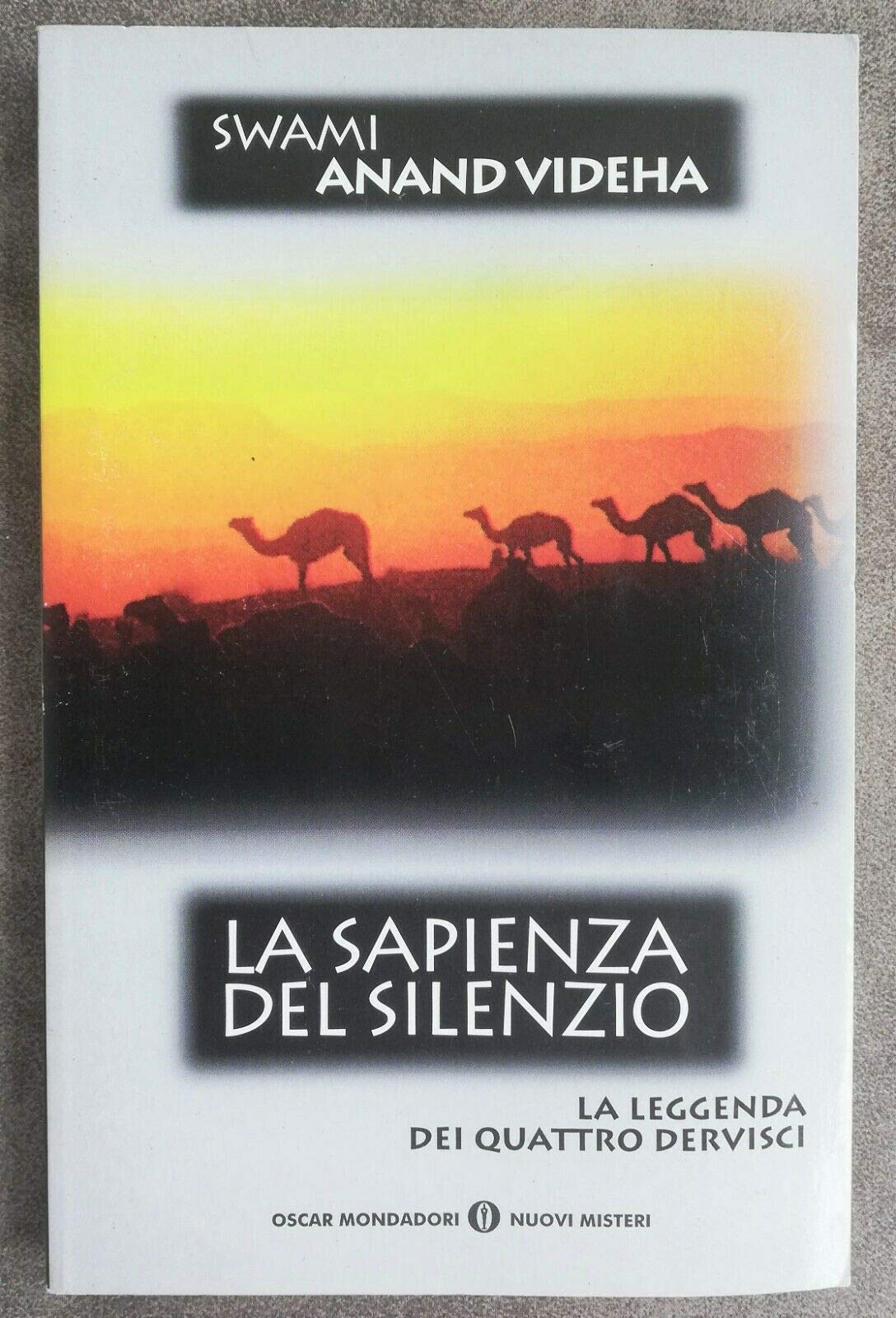 La sapienza del silenzio book