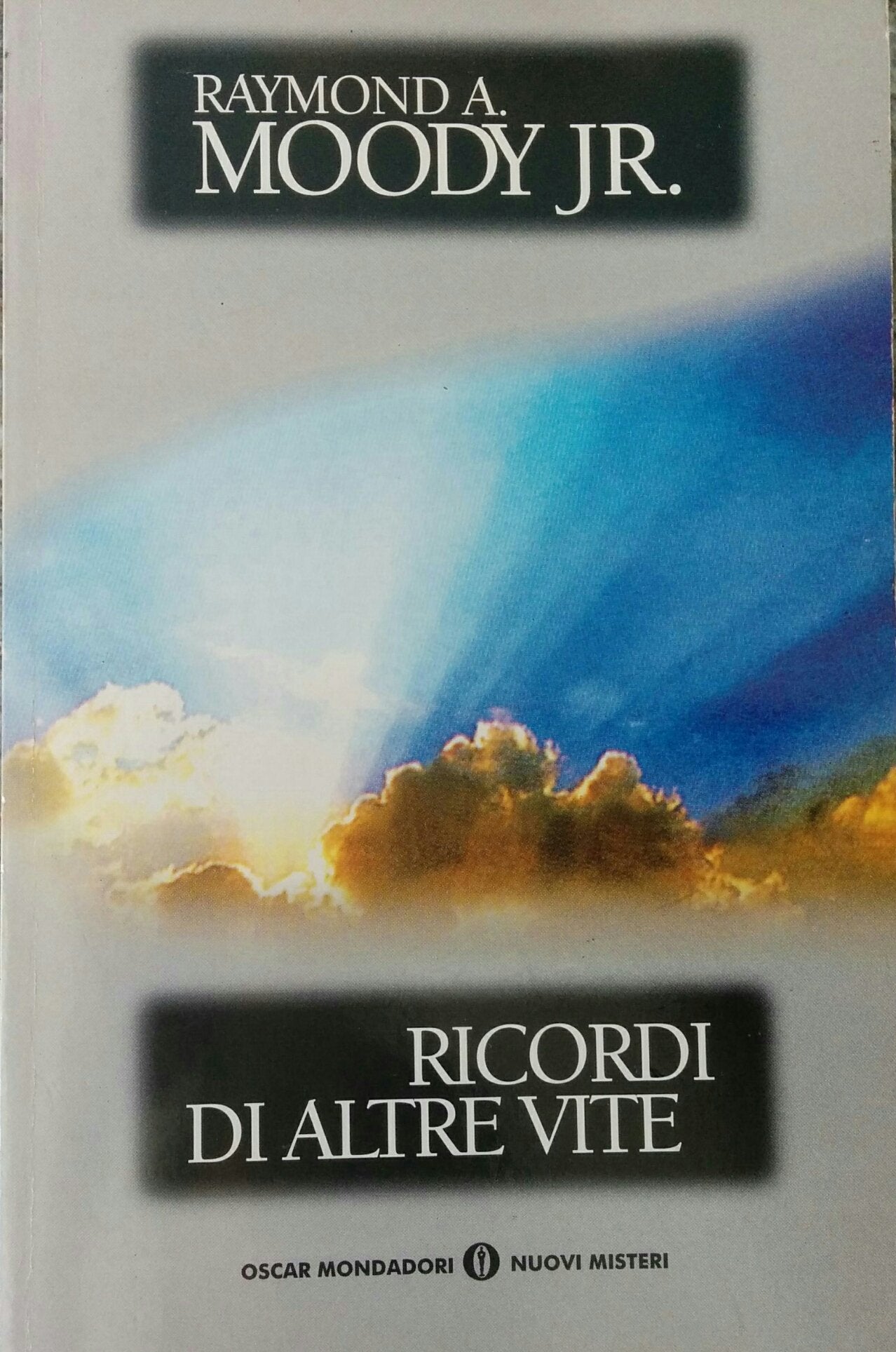 Ricordi di altre vite book