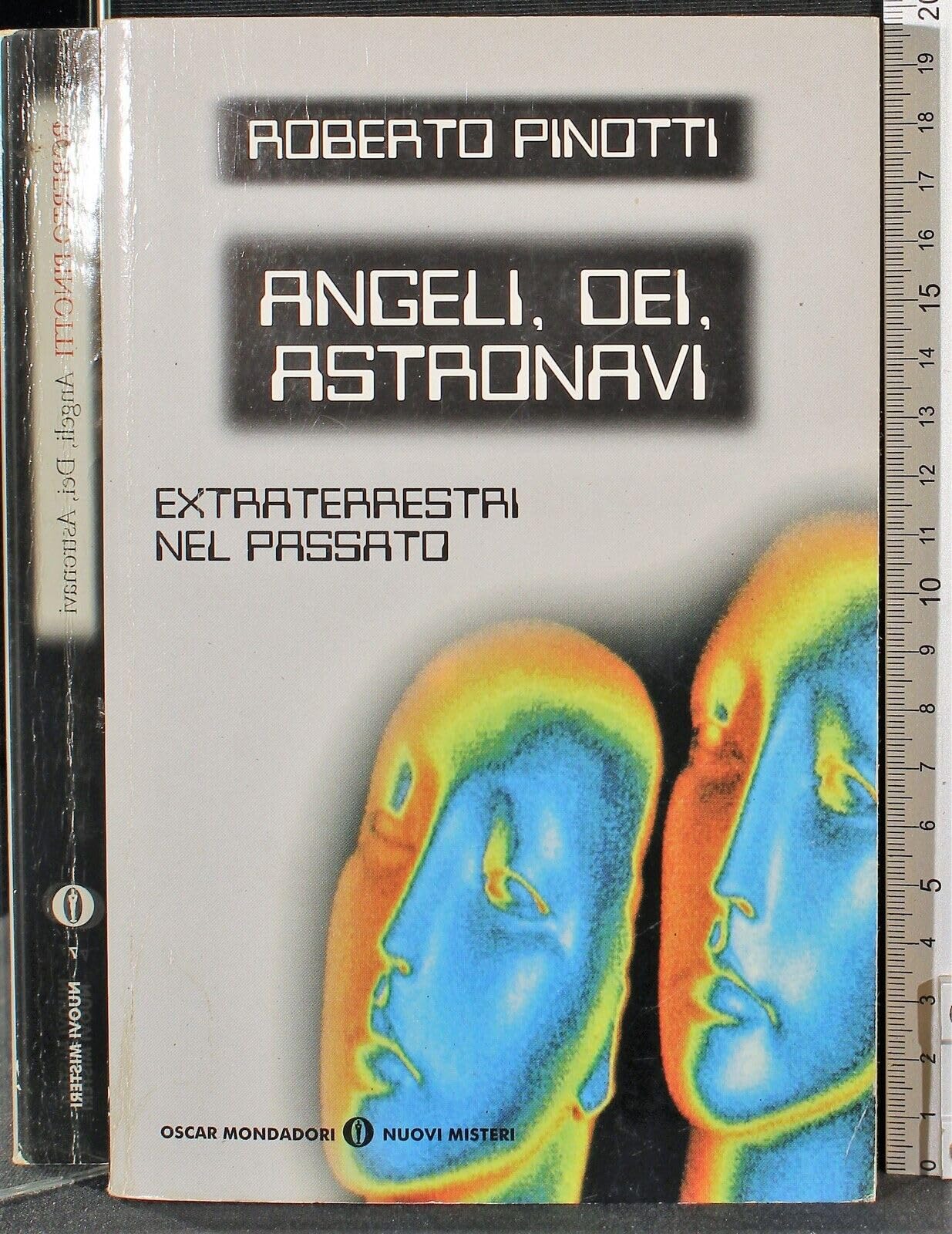 Angeli, dei, astronavi. Extraterrestri nel passato book