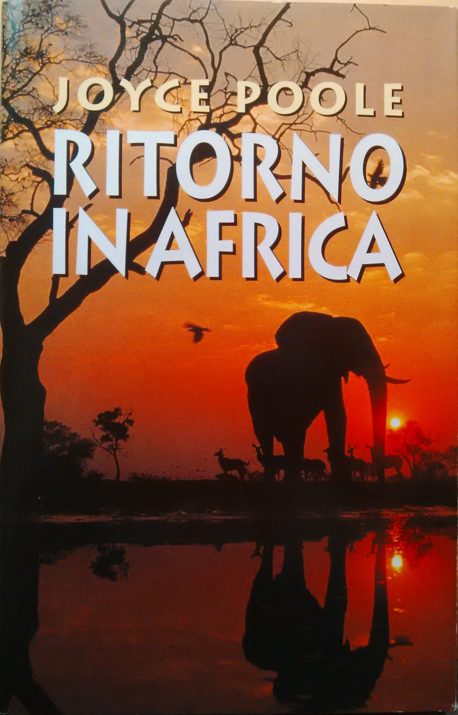 Ritorno in Africa book