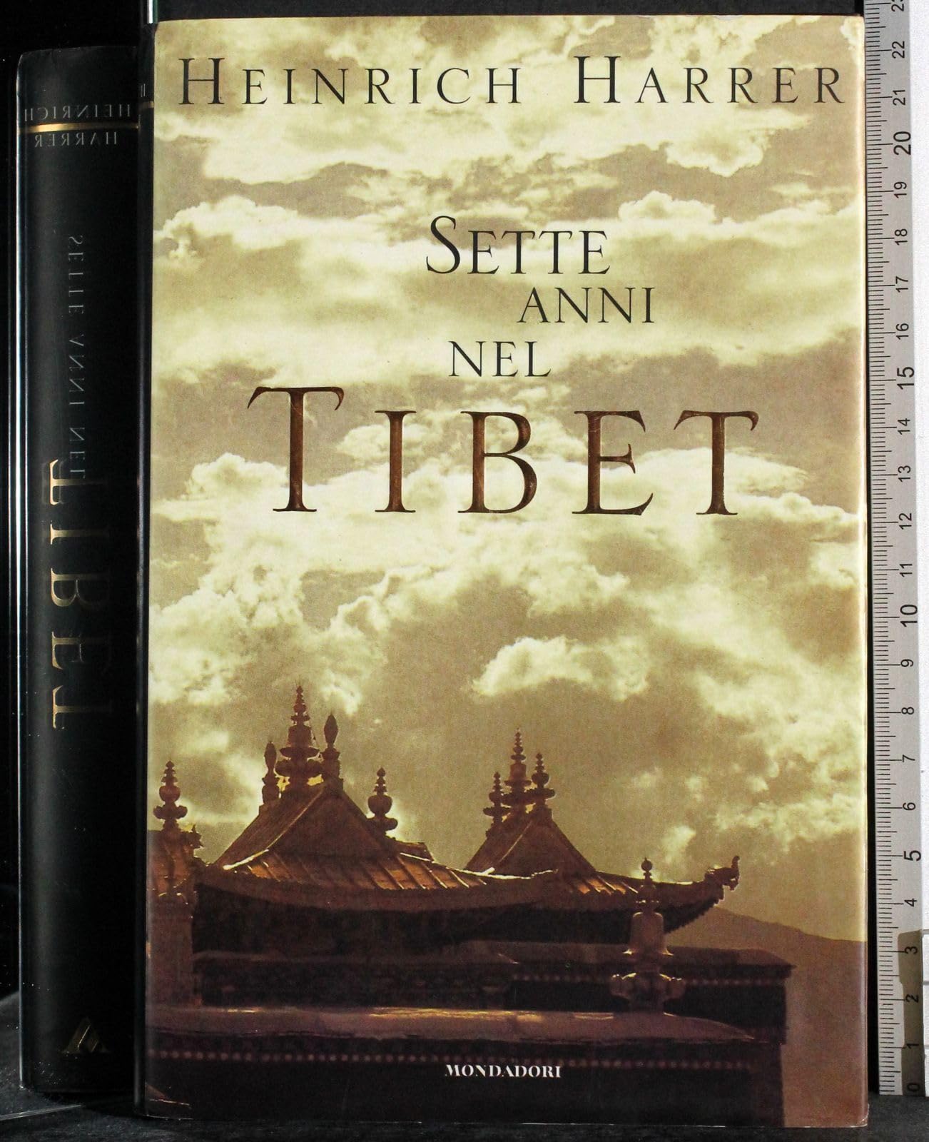 Sette anni in Tibet (Ingrandimenti) Memories