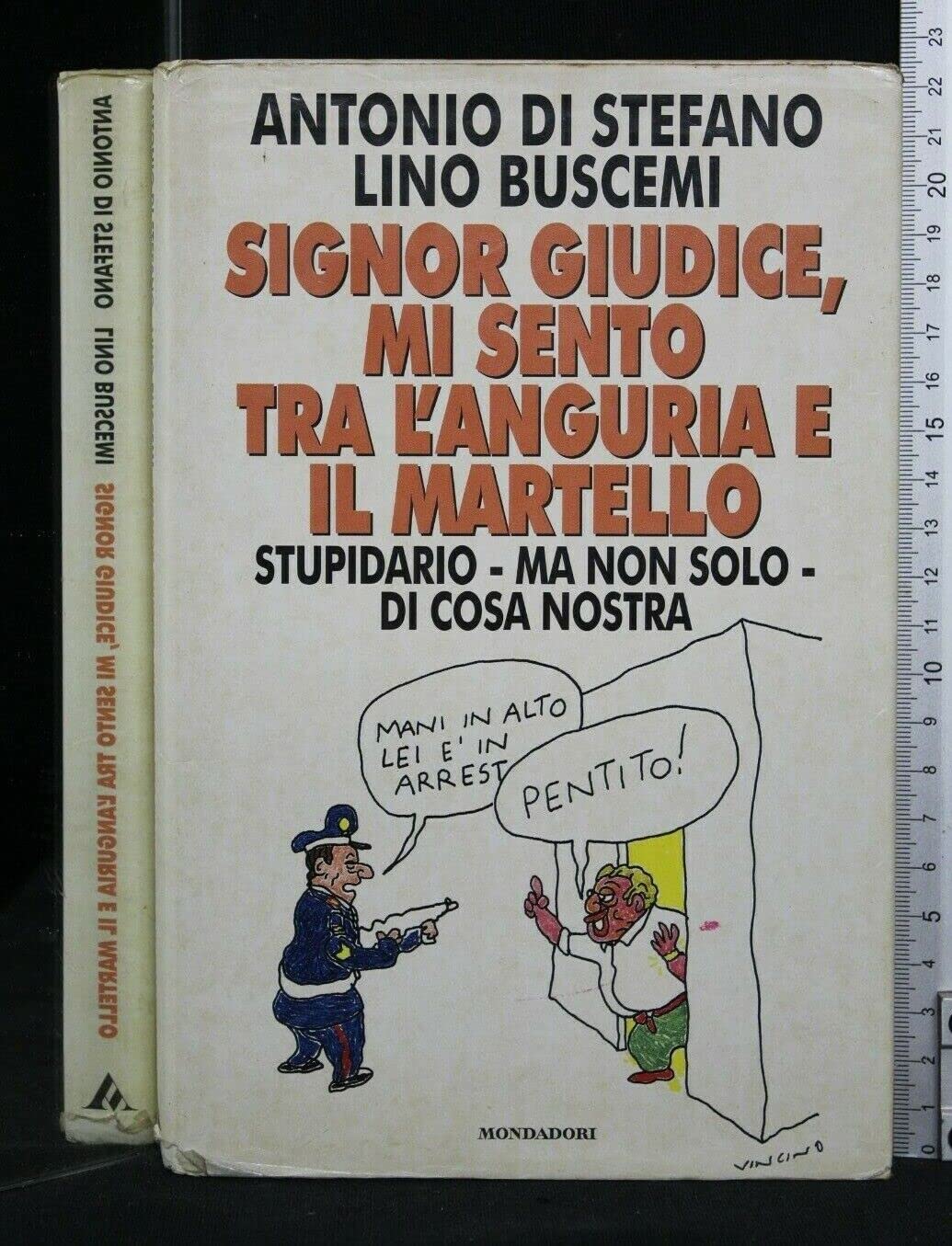 Signor giudice, mi sento tra l'anguria e il martello (Biblioteca umoristica Mondadori) Leisure, Home & Garden