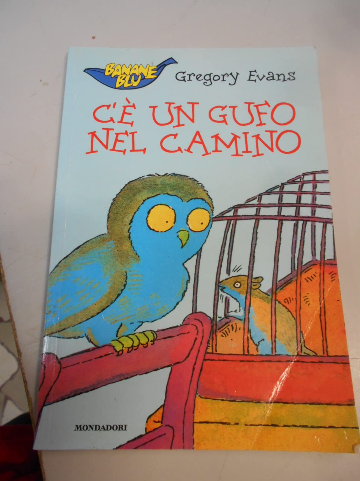 Banana Blu - Imparo a Leggere: C'e UN Gufo Nel Camino book