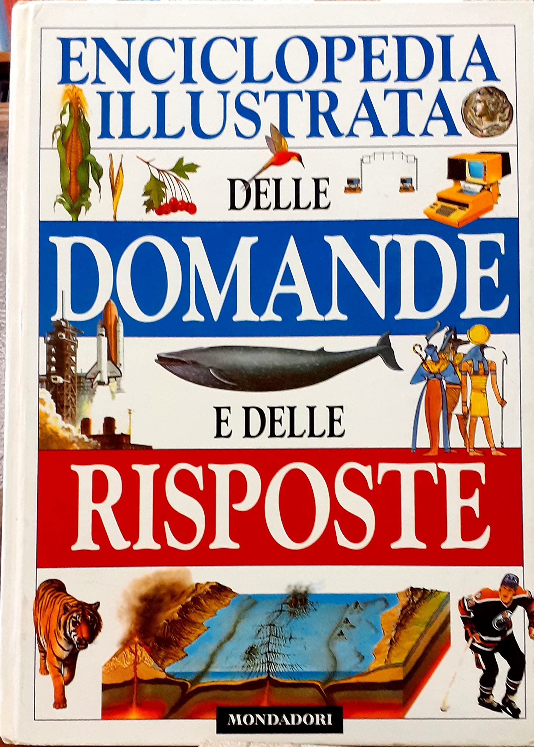 Enciclopedia delle domande e delle risposte (Le enciclopedie) Non-fiction