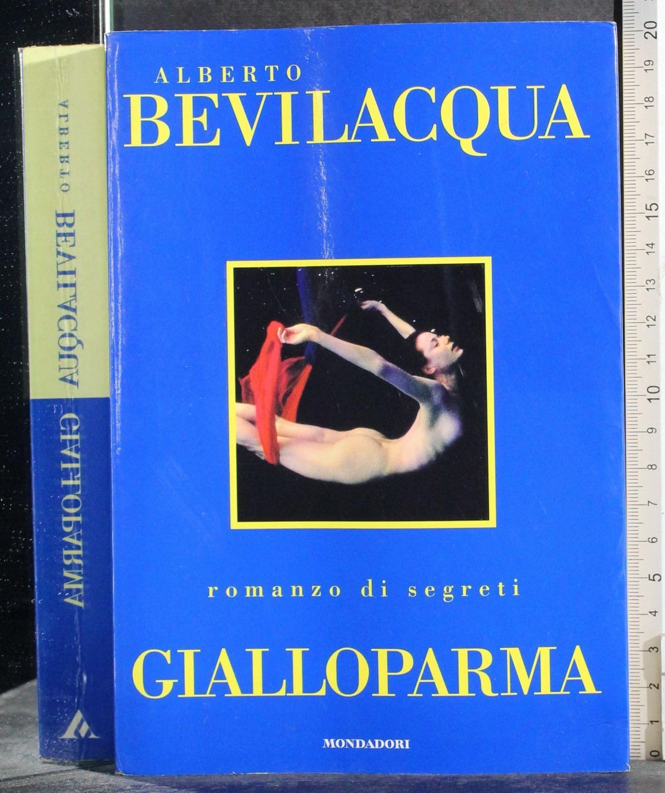 Gialloparma (I libri di Alberto Bevilacqua) Contemporary literature