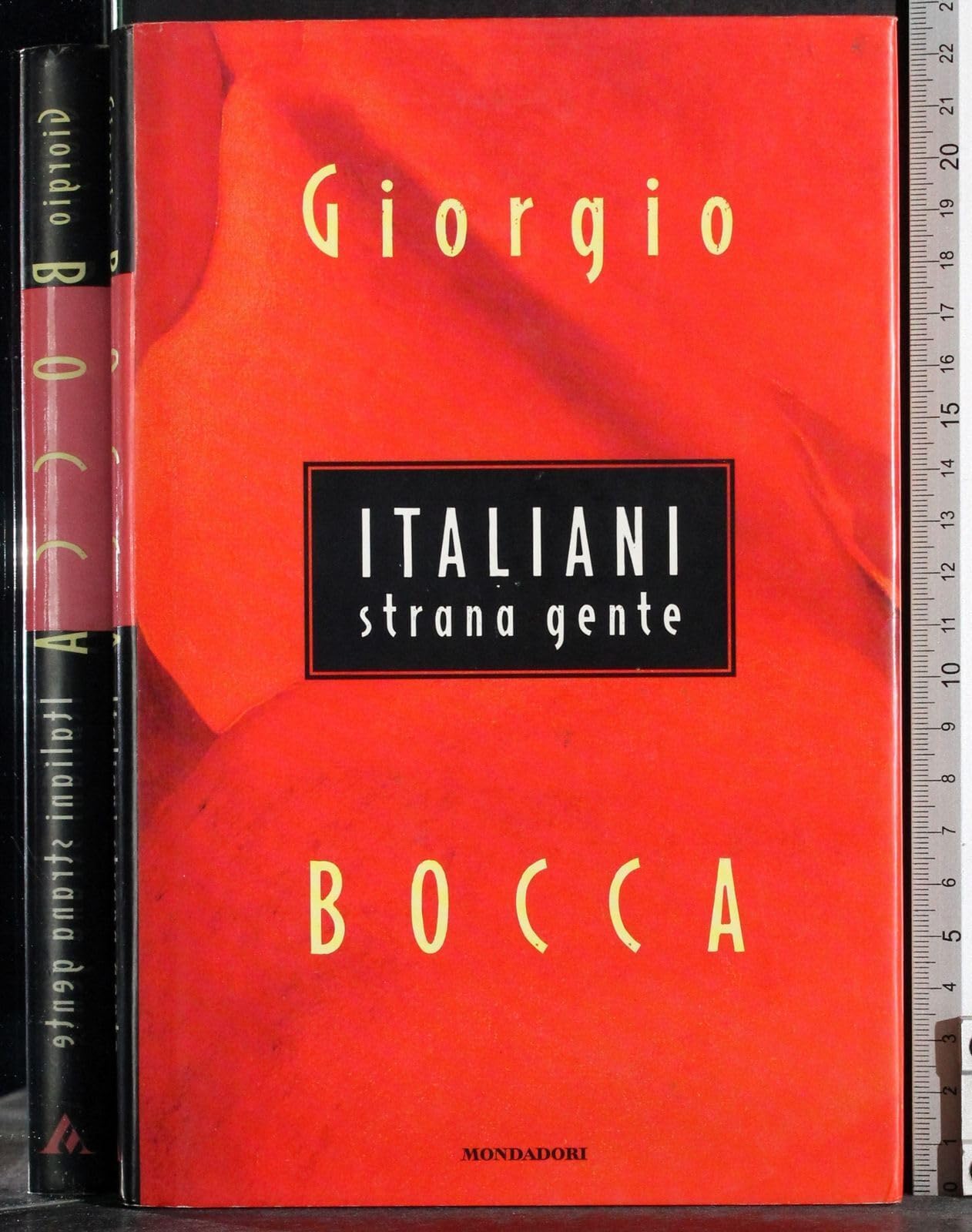 Italiani Strana Gente (I libri di Giorgio Bocca, Band 9) Learning & Reference