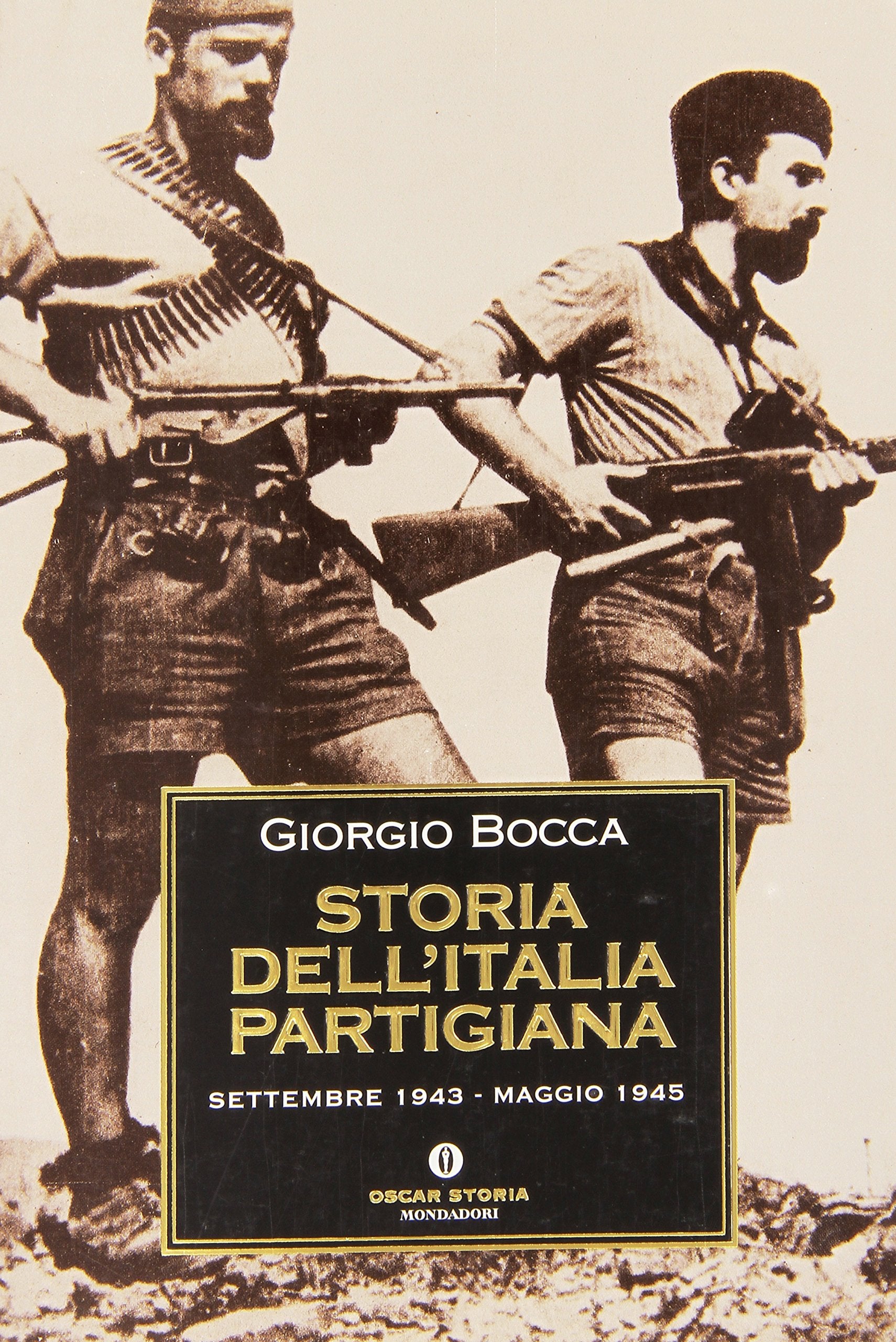 Storia dell'Italia partigiana book