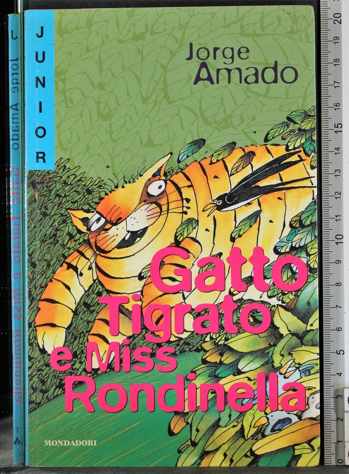 Gatto tigrato e miss Rondinella book