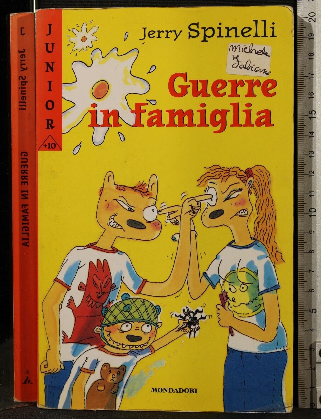 Guerre in famiglia book