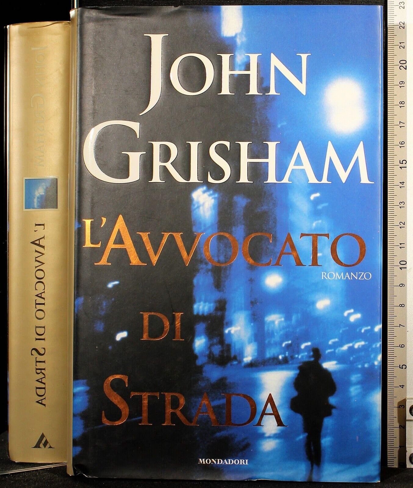 L'avvocato di strada (Omnibus) Contemporary literature