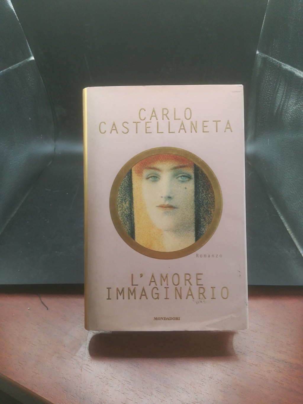 L'amore immaginario (Scrittori italiani) Contemporary literature