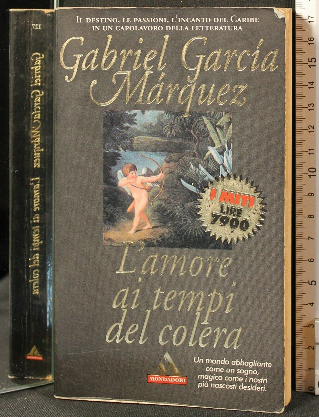 L'amore ai tempi del colera (I miti) Contemporary literature