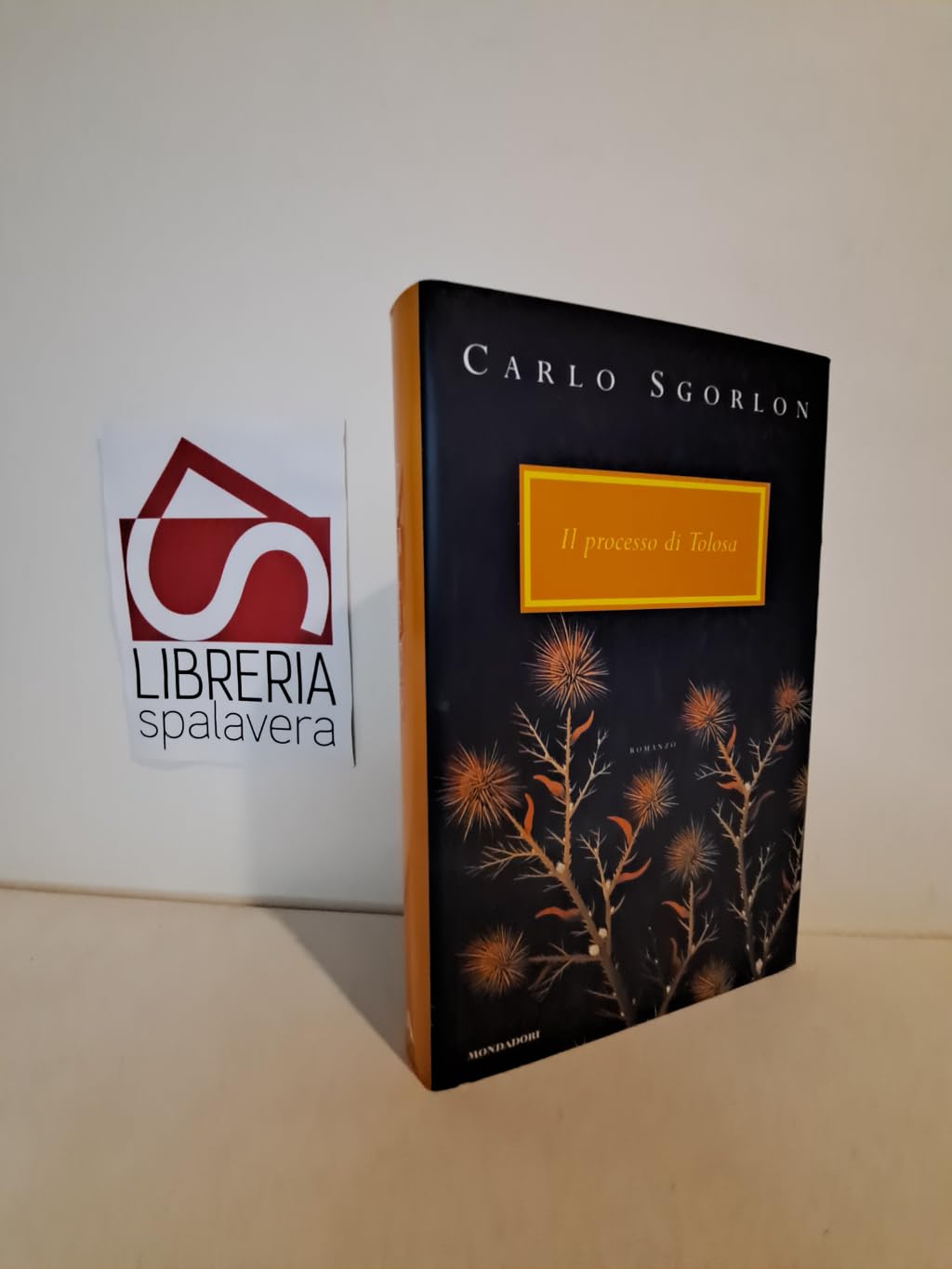 Il processo di Tolosa (Scrittori italiani) Contemporary literature