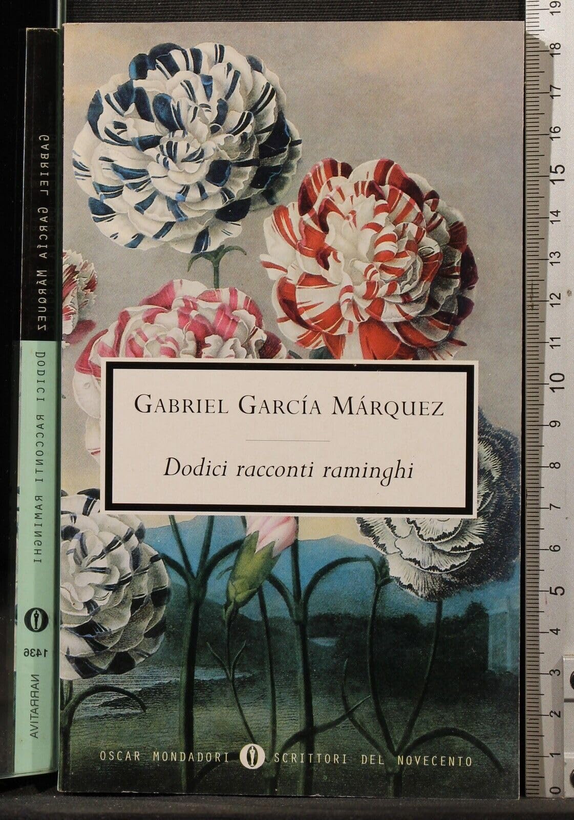 Dodici racconti raminghi (Oscar scrittori moderni, Band 1436) Essays & Short Stories