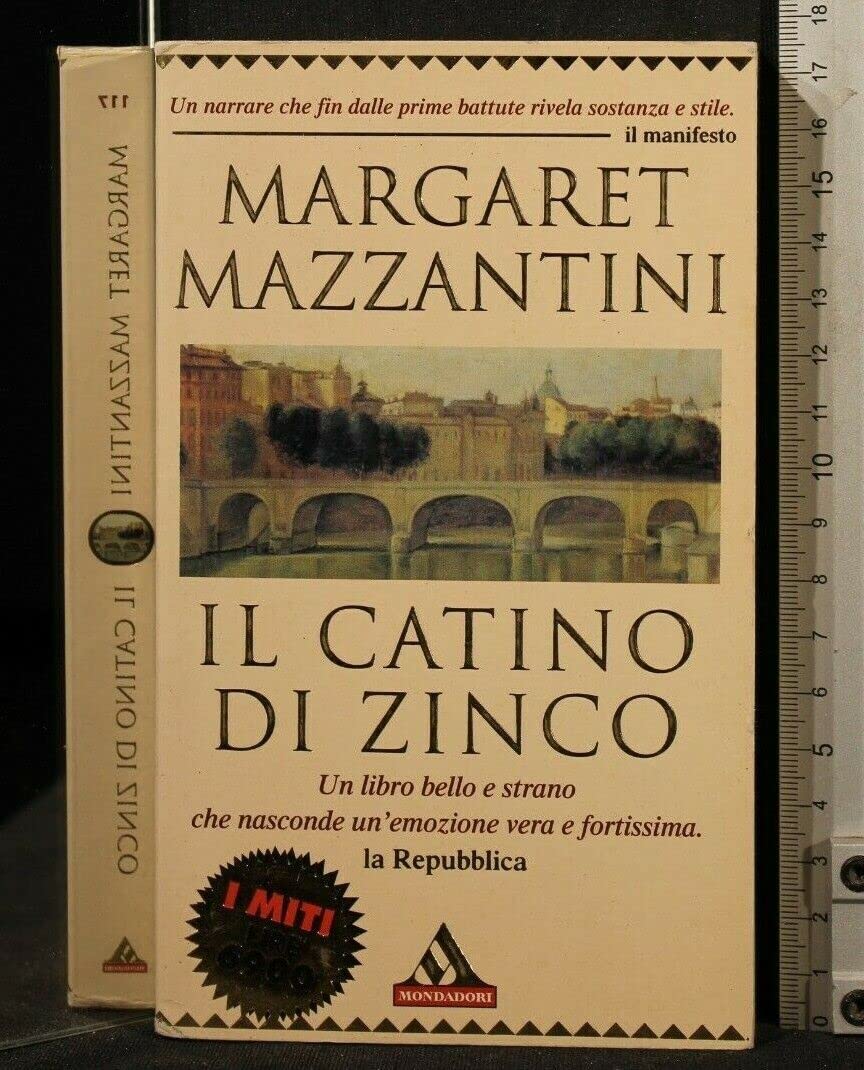 Il catino di zinco book