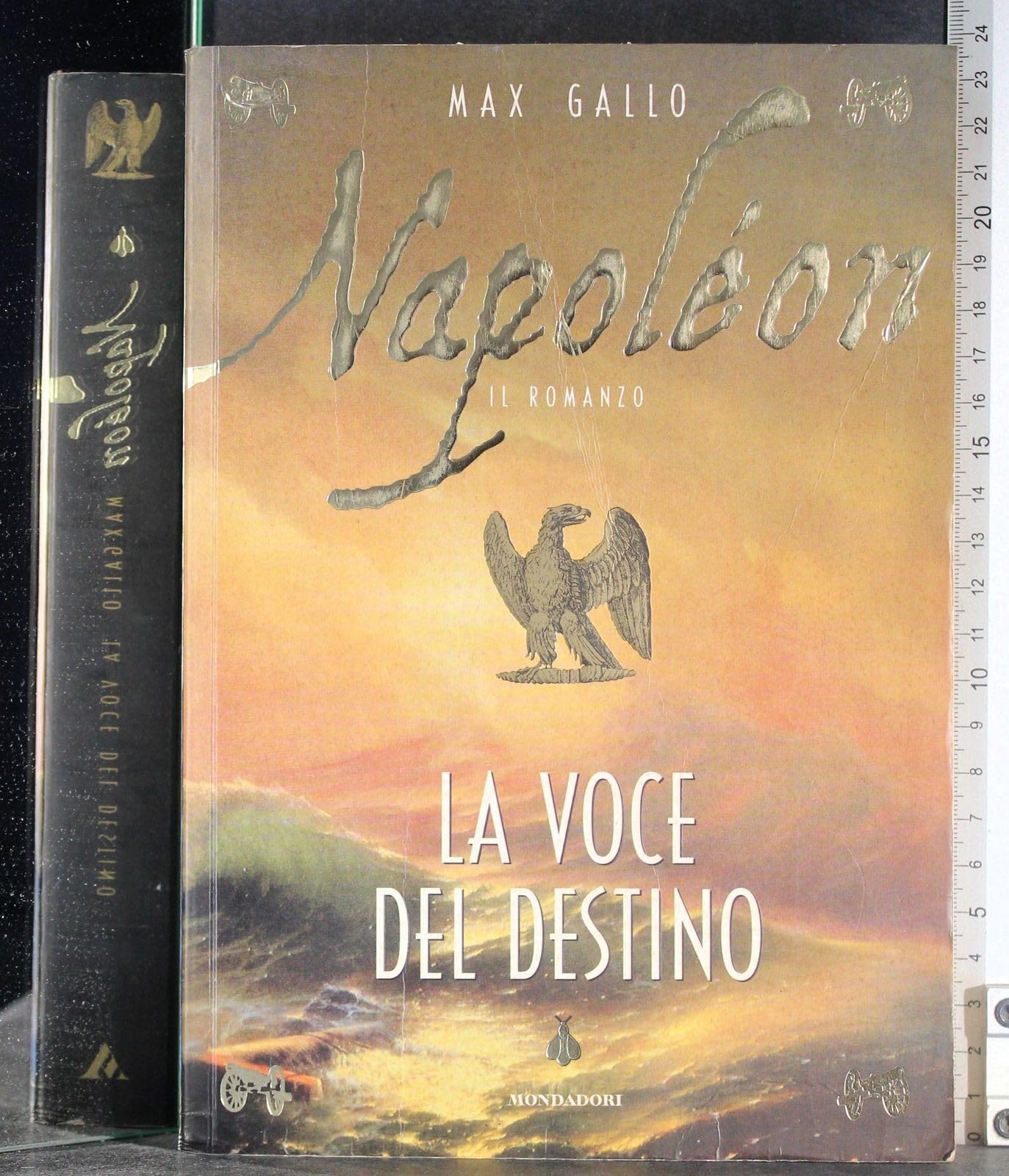 Napoléon. La voce del destino (I faraoni, Band 17) Memories