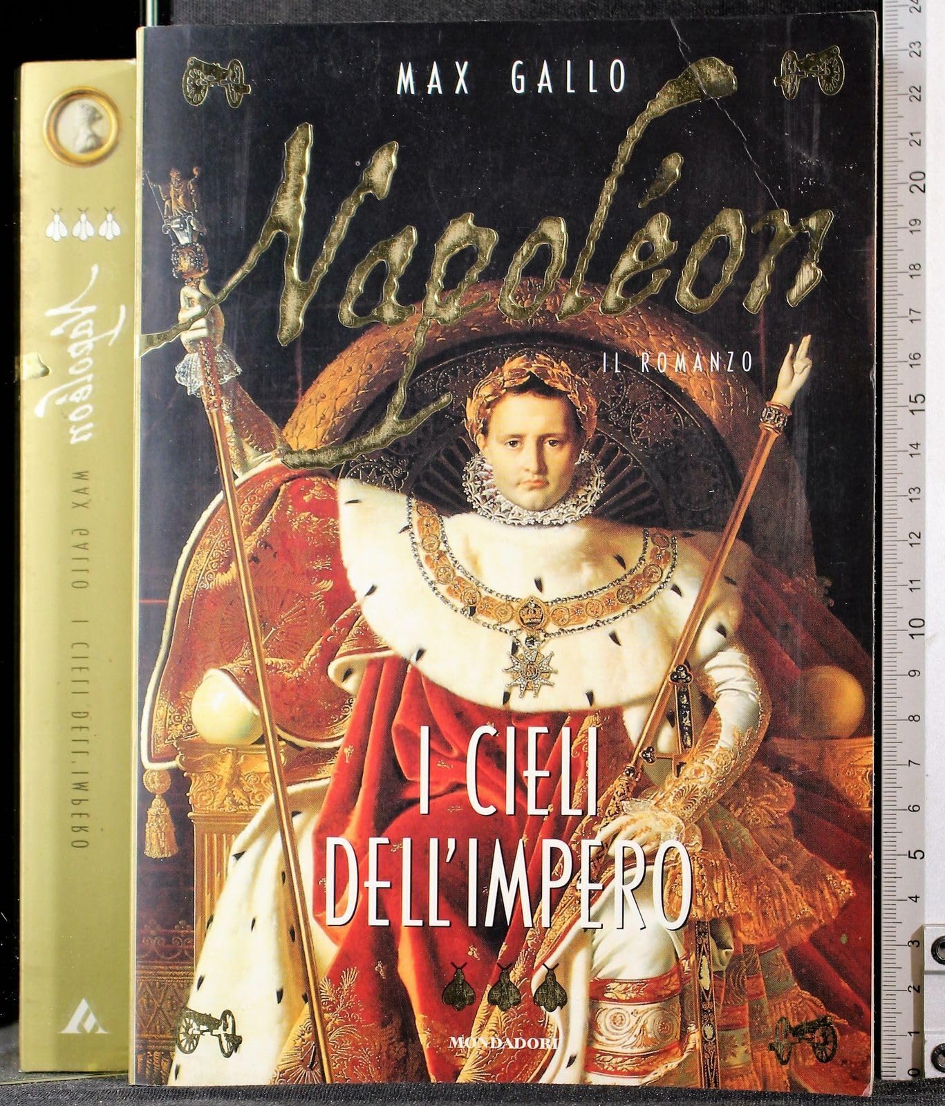 Napoléon. I cieli dell'impero (I faraoni, Band 24) Contemporary literature