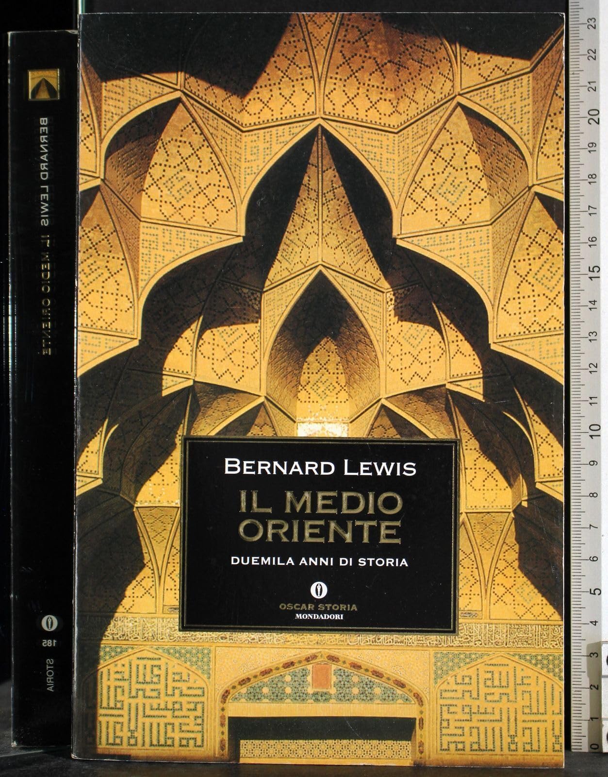 Il Medio Oriente (Oscar storia, Band 185) Social Sciences