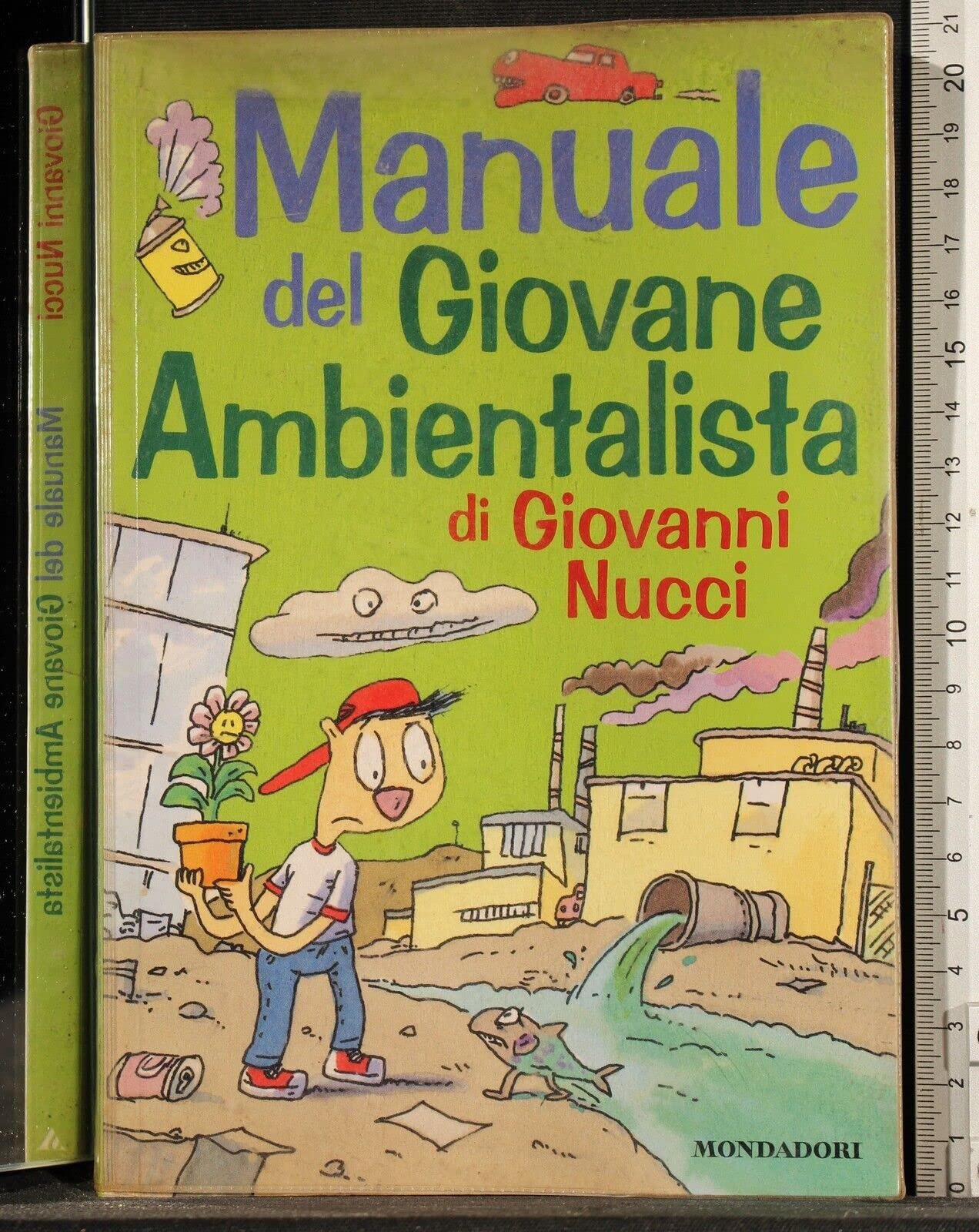 Manuale del giovane ambientalista (Manuali Mondadori, Band 5) Mathematics