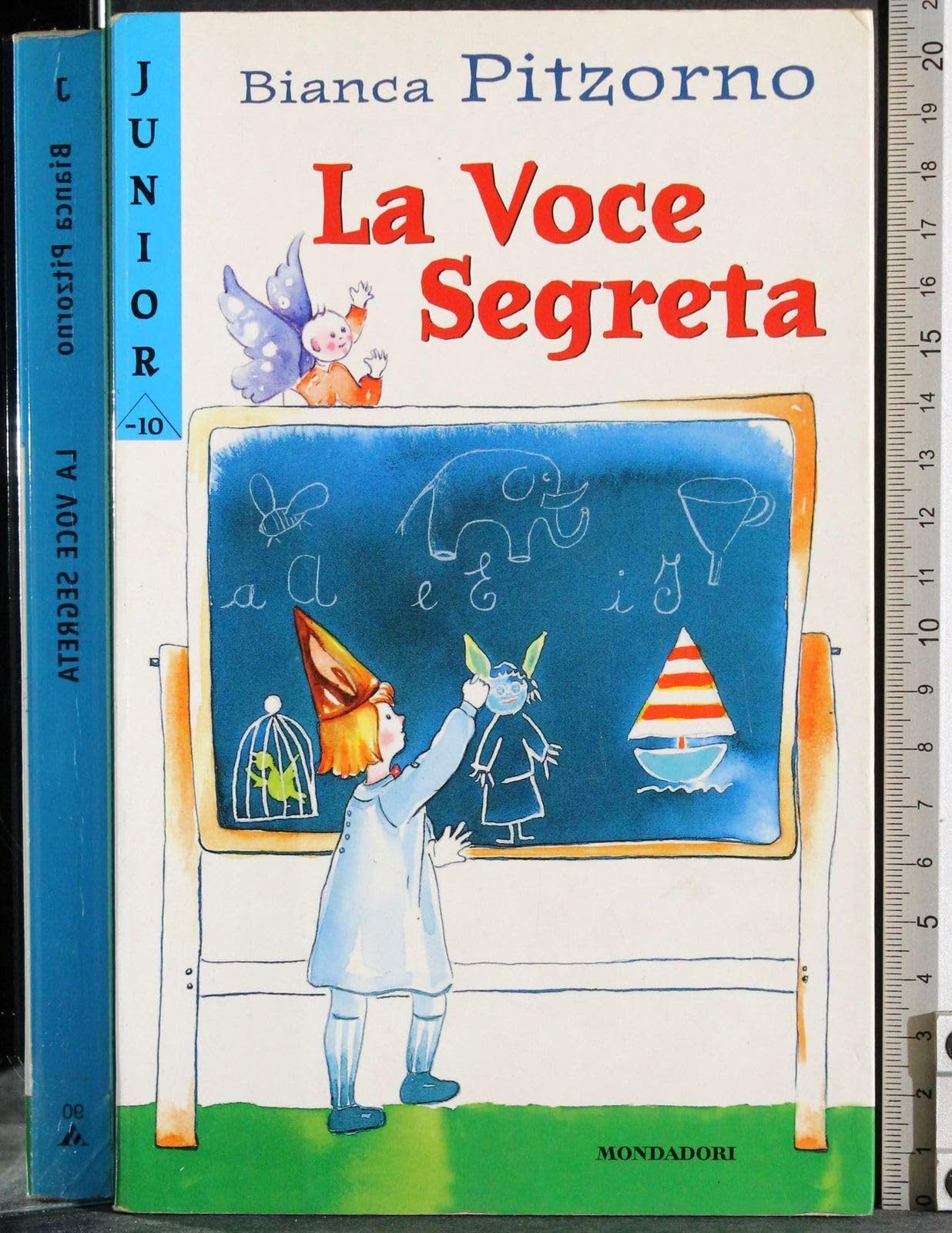 La Voce Segreta (Junior -10, Band 90) Novels & Short Stories