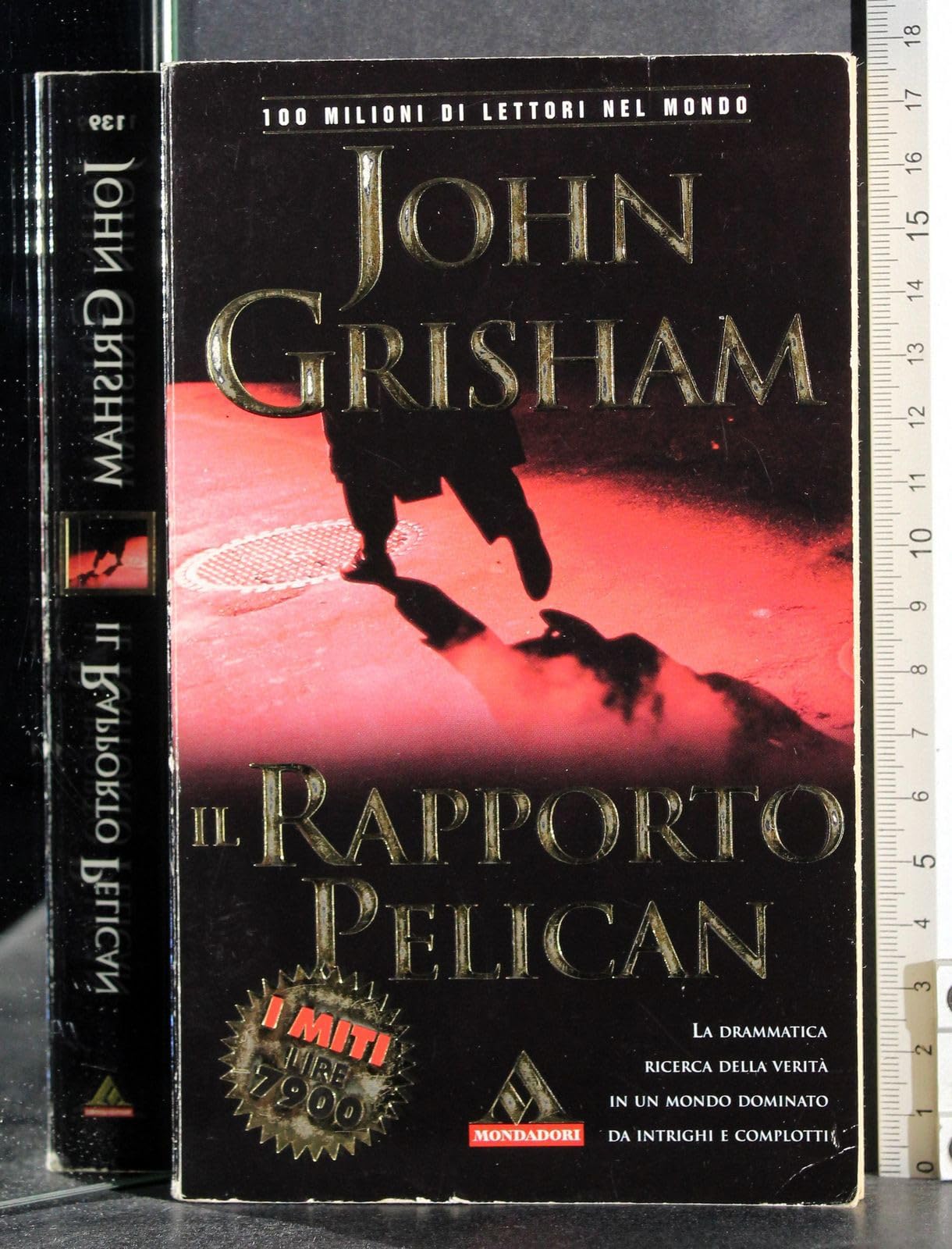 Il rapporto Pelican (I miti, Band 139) Contemporary literature
