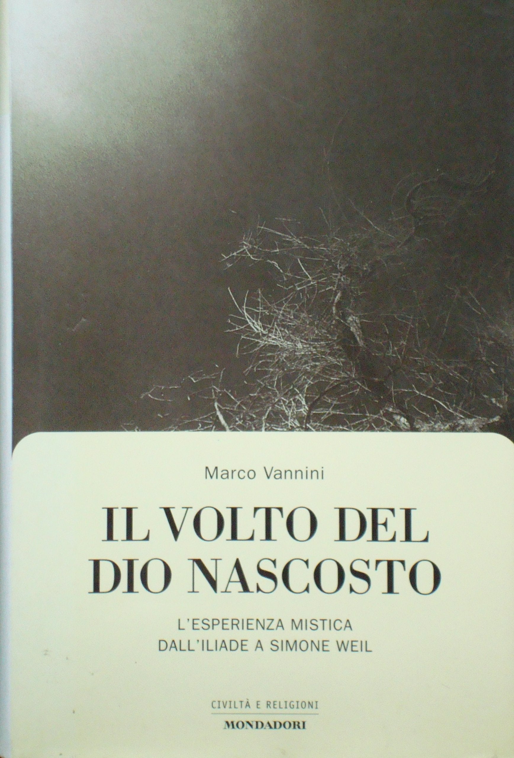 Il volto del Dio nascosto (Uomini e religioni. Cartonati) Religion & Esotericism