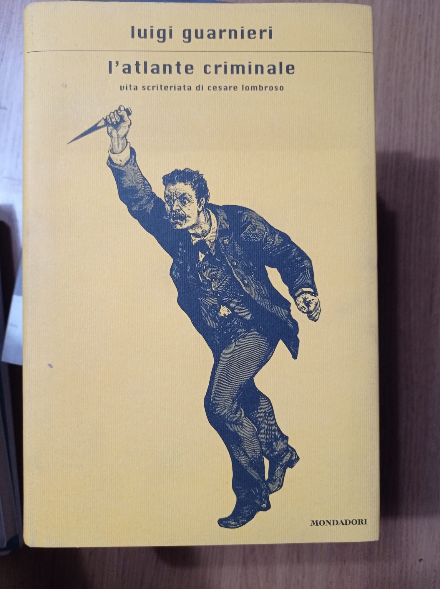 L'atlante criminale. Vita scriteriata di Cesare Lombroso (Scrittori italiani e stranieri, Band 21) Social Sciences