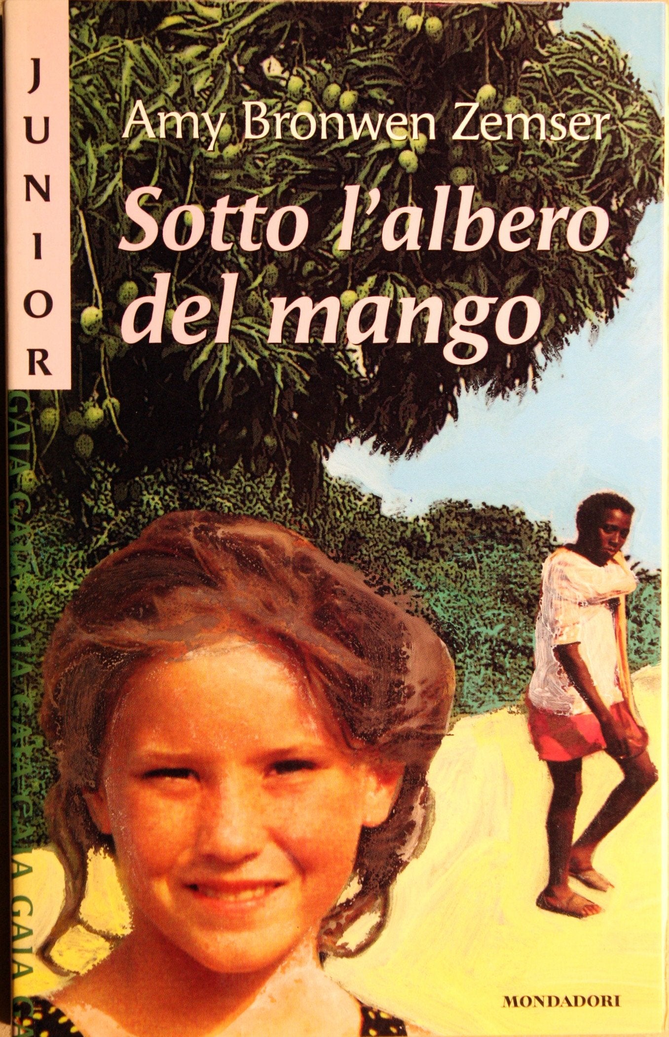 Sotto l'albero del mango book