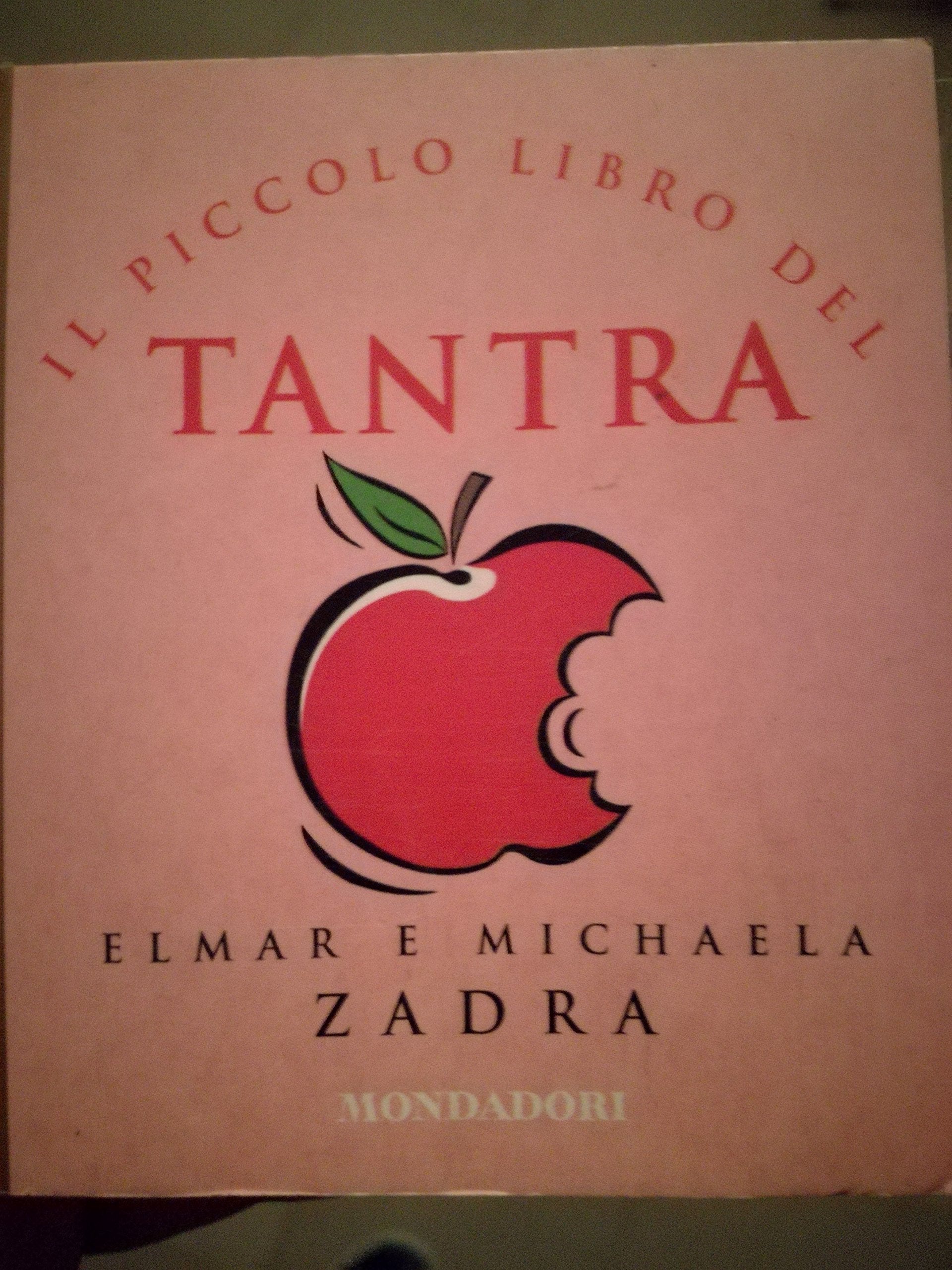 Il piccolo libro del tantra (Arcobaleno) Partnership & Love