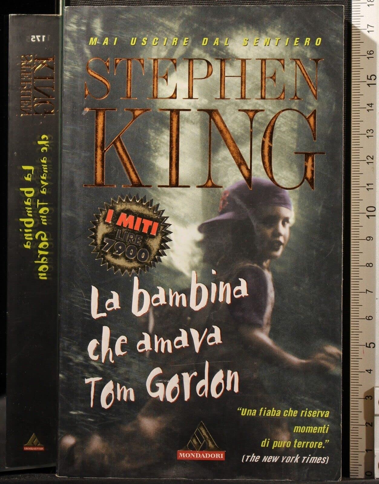 La bambina che amava Tom Gordon (I miti, Band 175) Horror & Mystery