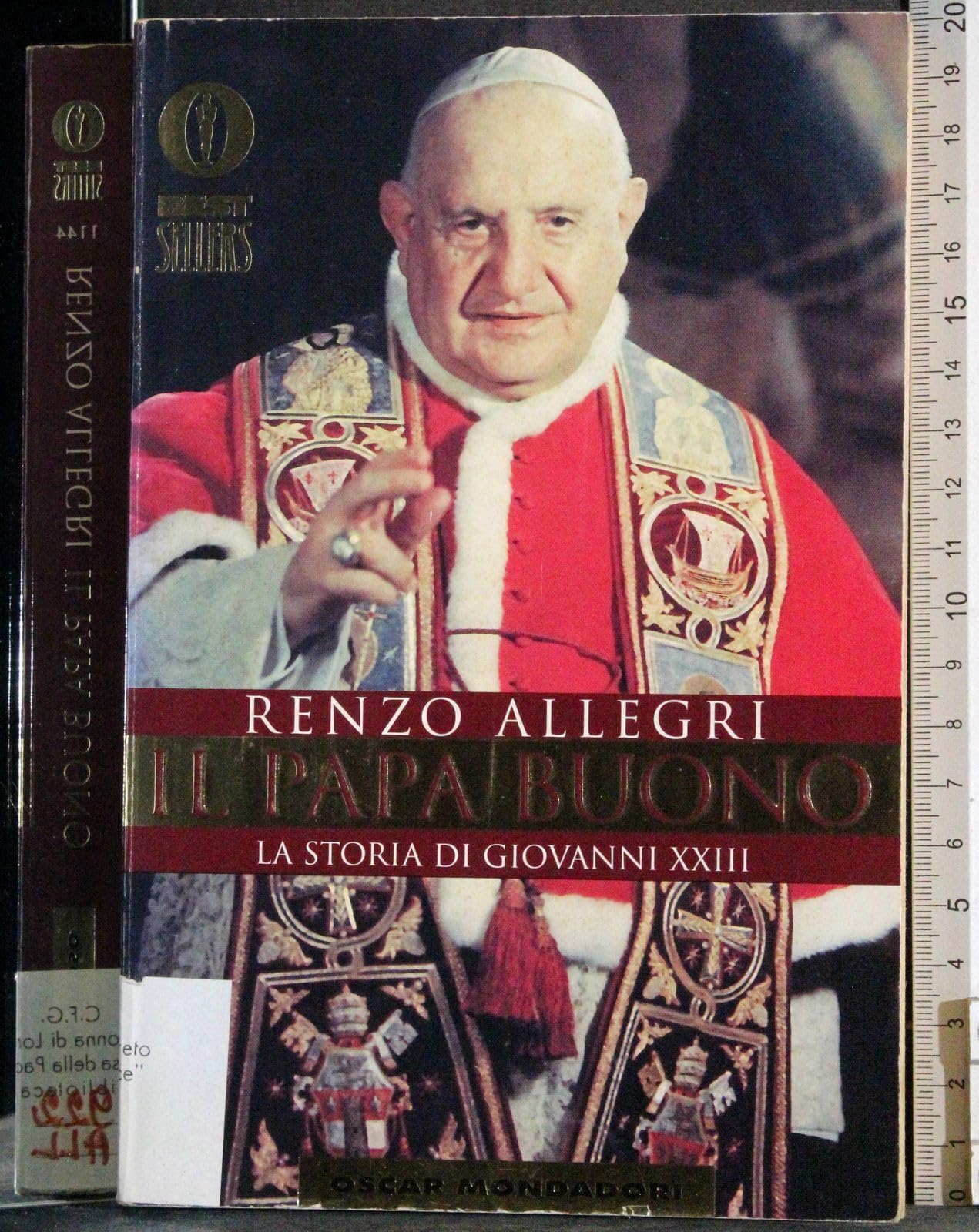 Il papa buono. La storia di Giovanni XXIII (Oscar bestsellers, Band 1144) Politics & Society Books