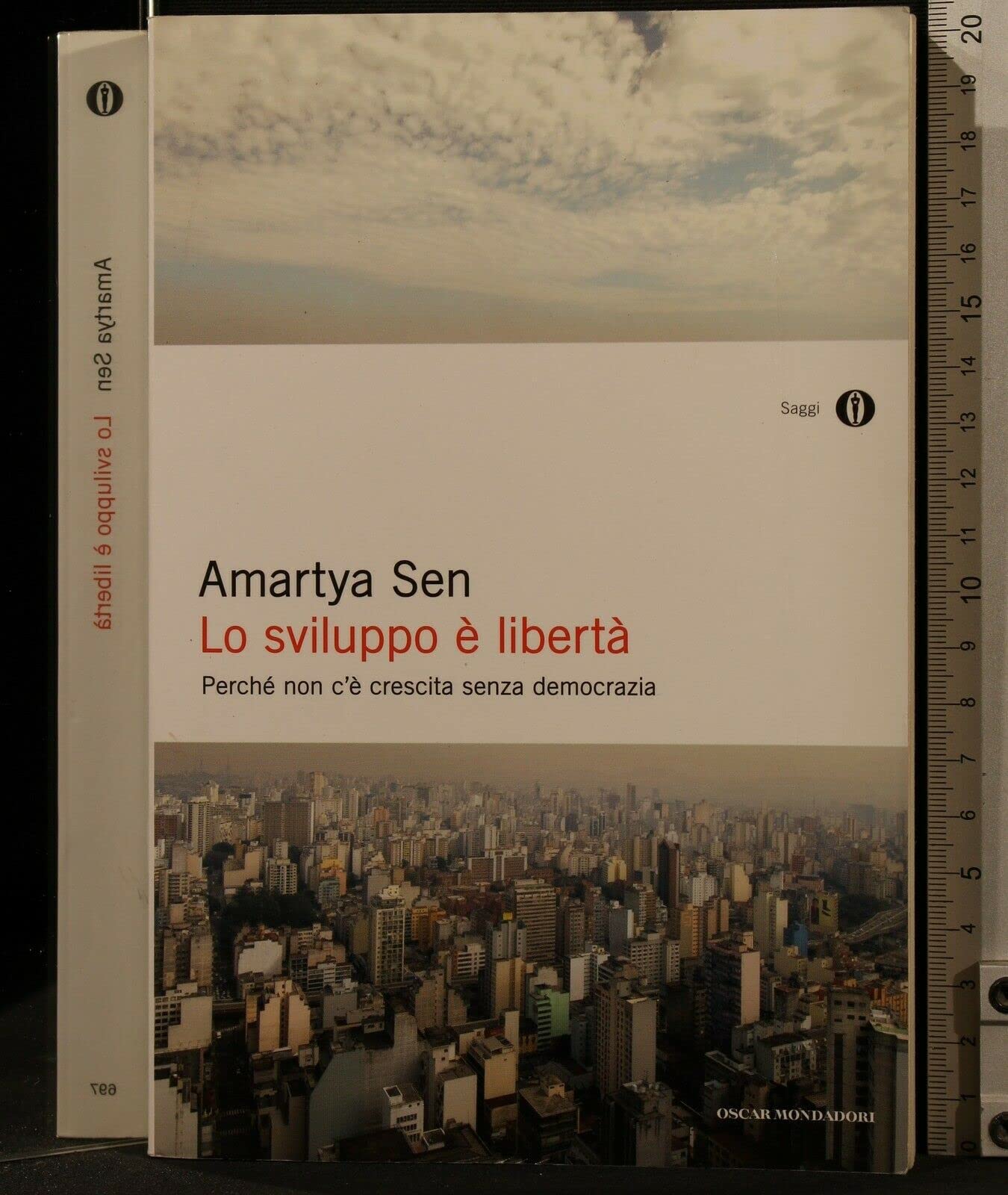 Lo sviluppo è libertà. Perché non c'è crescita senza democrazia (Oscar saggi, Band 697) Business, Finance & Career