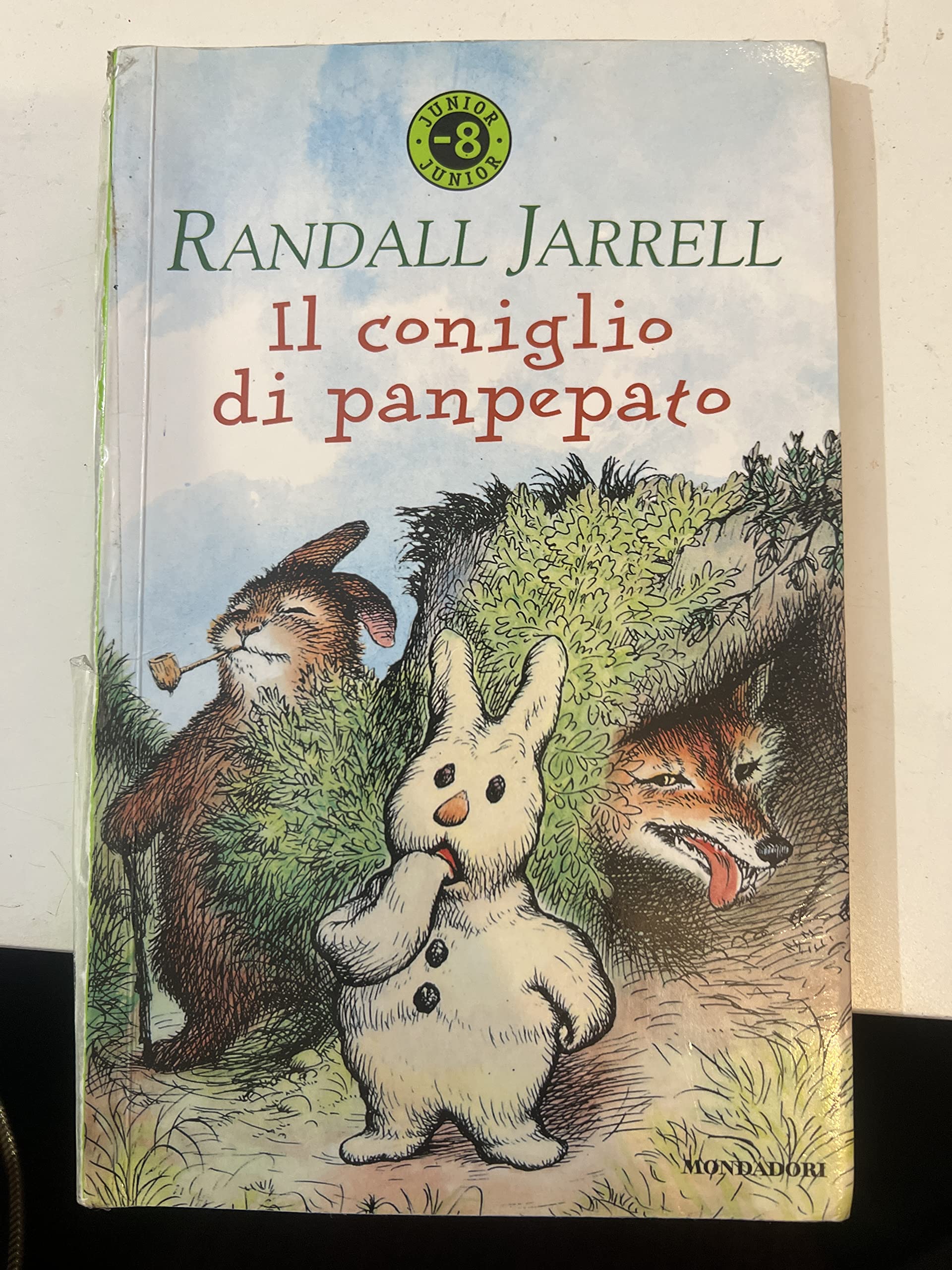Il coniglio di panpepato (Junior -8, Band 79) Books