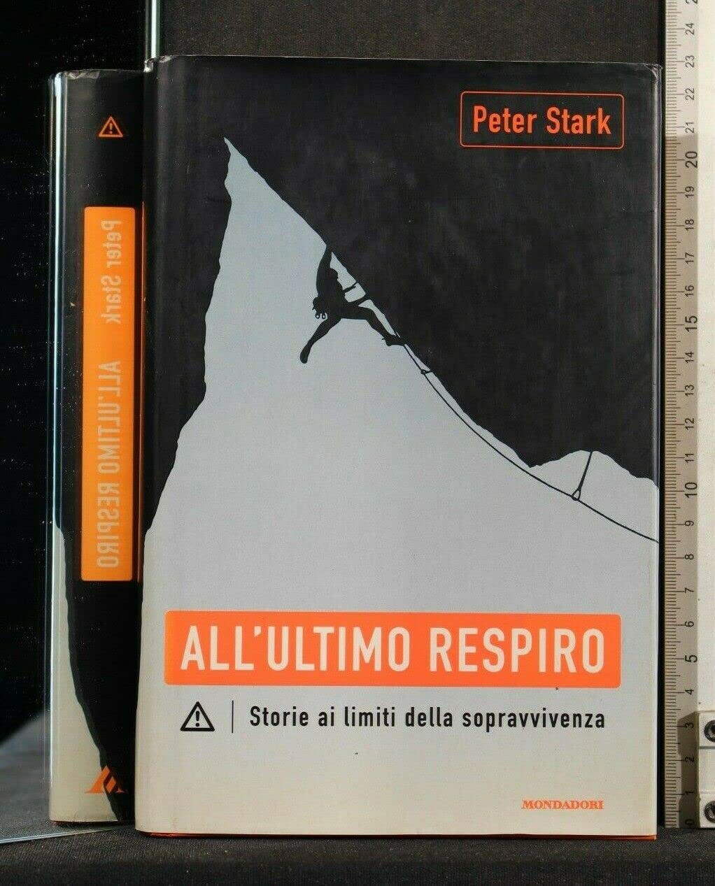 All'ultimo respiro. Storie ai limiti della sopravvivenza (Ingrandimenti) Leisure & Fun